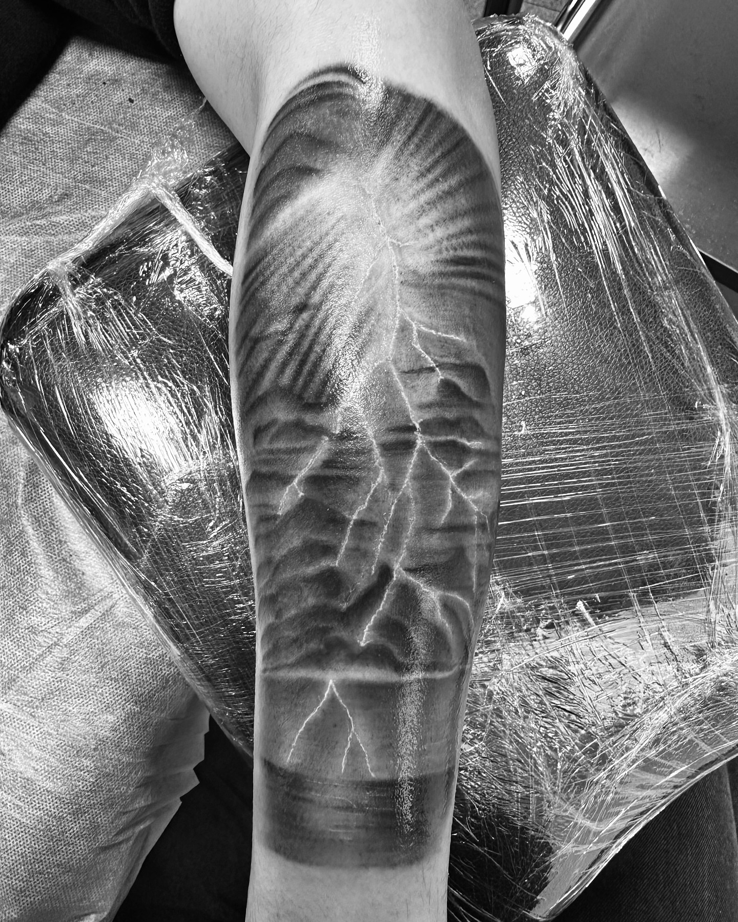 Tattoo by @stee_tt — black_and_grey, realism