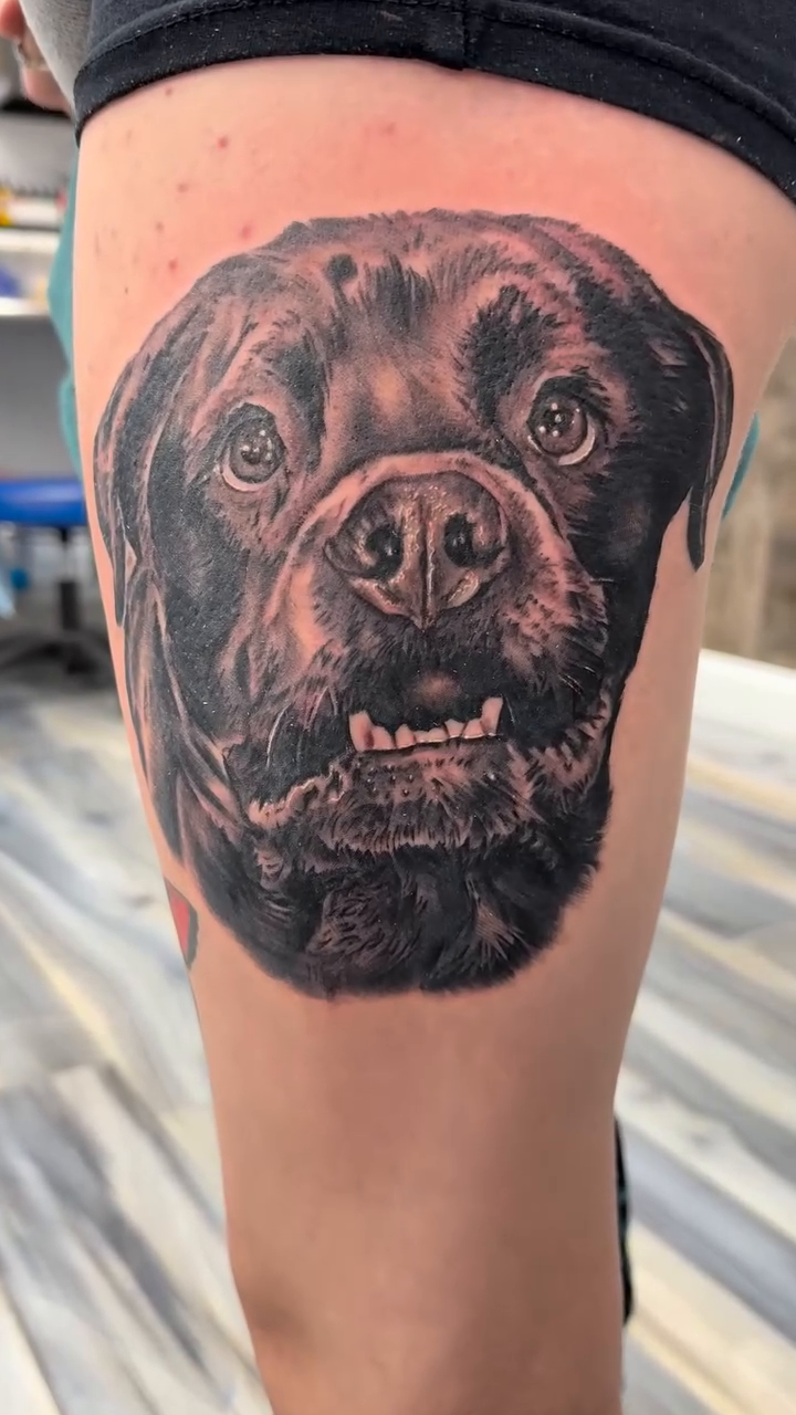 Dog portrait realism tattoo by Steve Bishov
