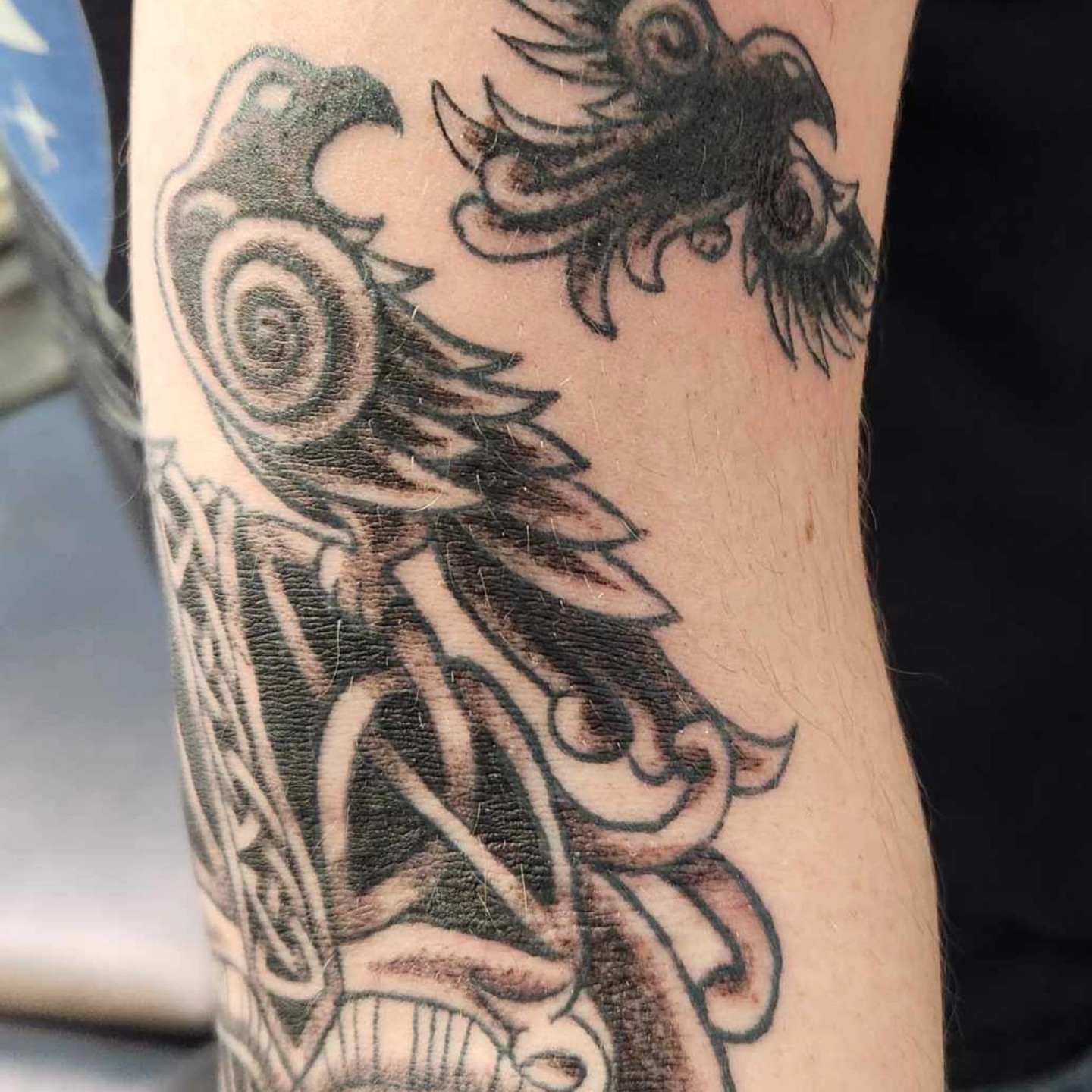 Bird black and grey tattoo on the forearm by Samantha Von Zombia, Saint Paul, Minnesota