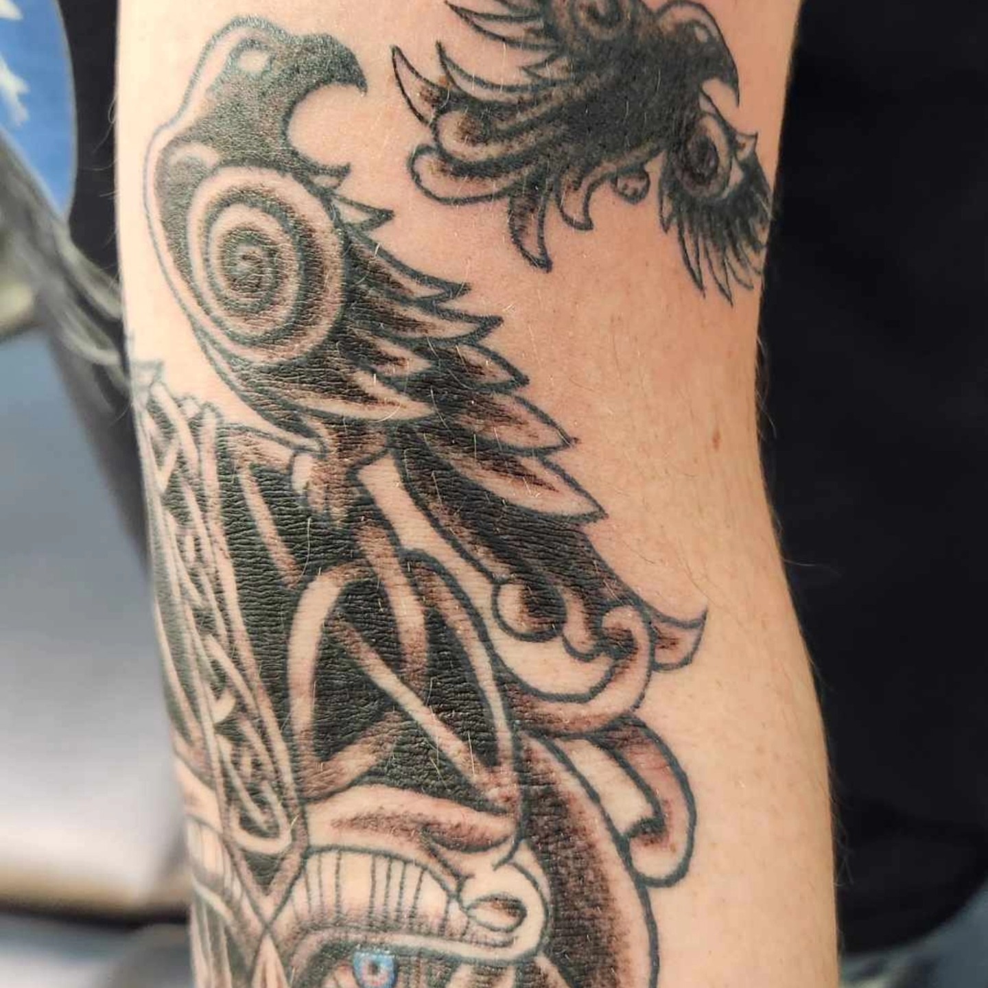 Raven black and grey tattoo on the forearm by Samantha Von Zombia, Saint Paul, Minnesota
