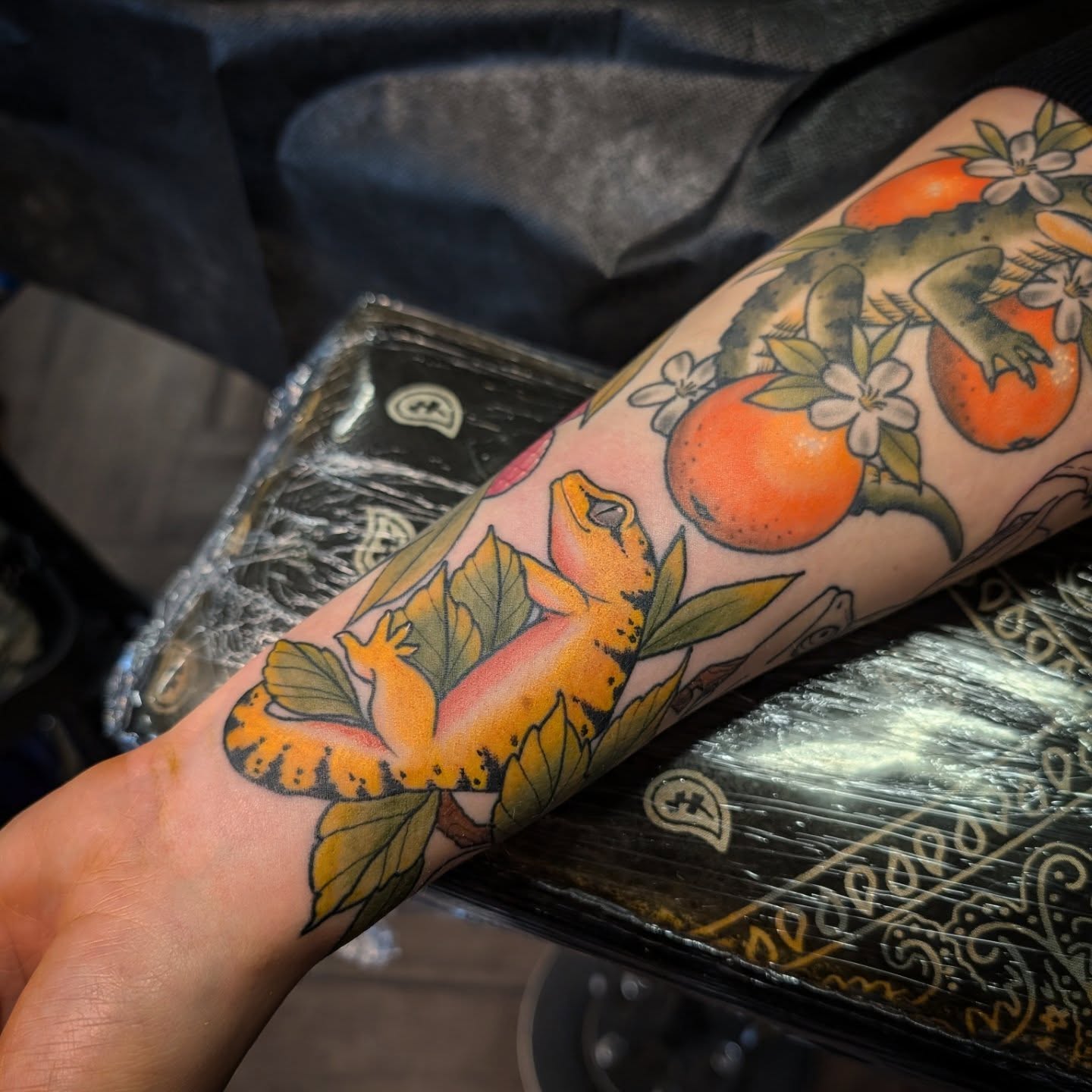 Gecko and oranges American traditional tattoo on the forearm by 𝑹𝒆𝒚𝒎𝒂𝒓𝒄 𝑫𝒂𝒚𝒂𝒖𝒐𝒏