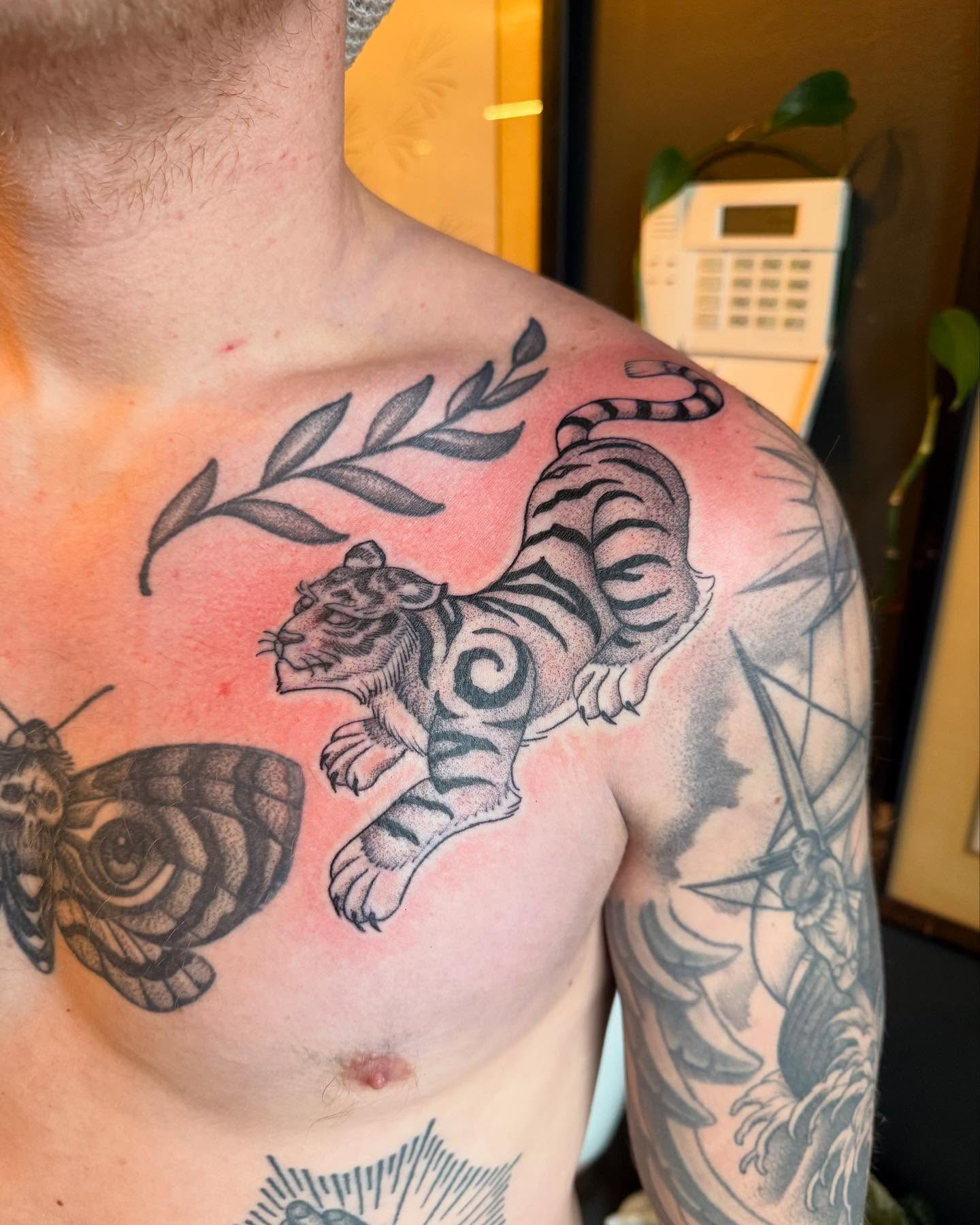 Tiger and moth black and grey tattoo on the chest by Will Campbell