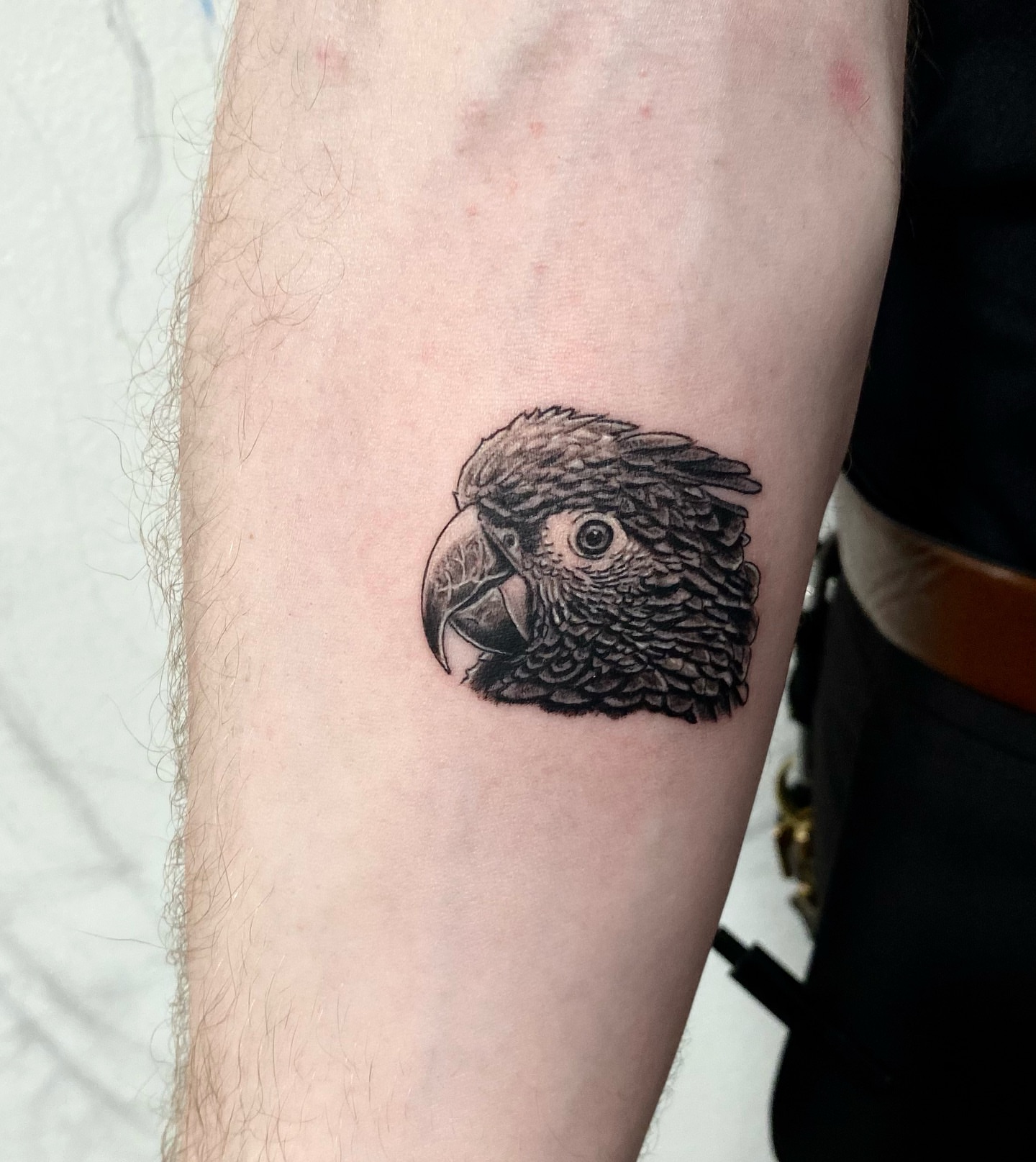 Tattoo by @euphoria_tattoos_ — realism