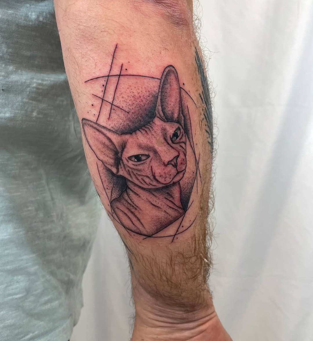 Sphynx cat portrait realism tattoo on the forearm by Bianca Cattapan