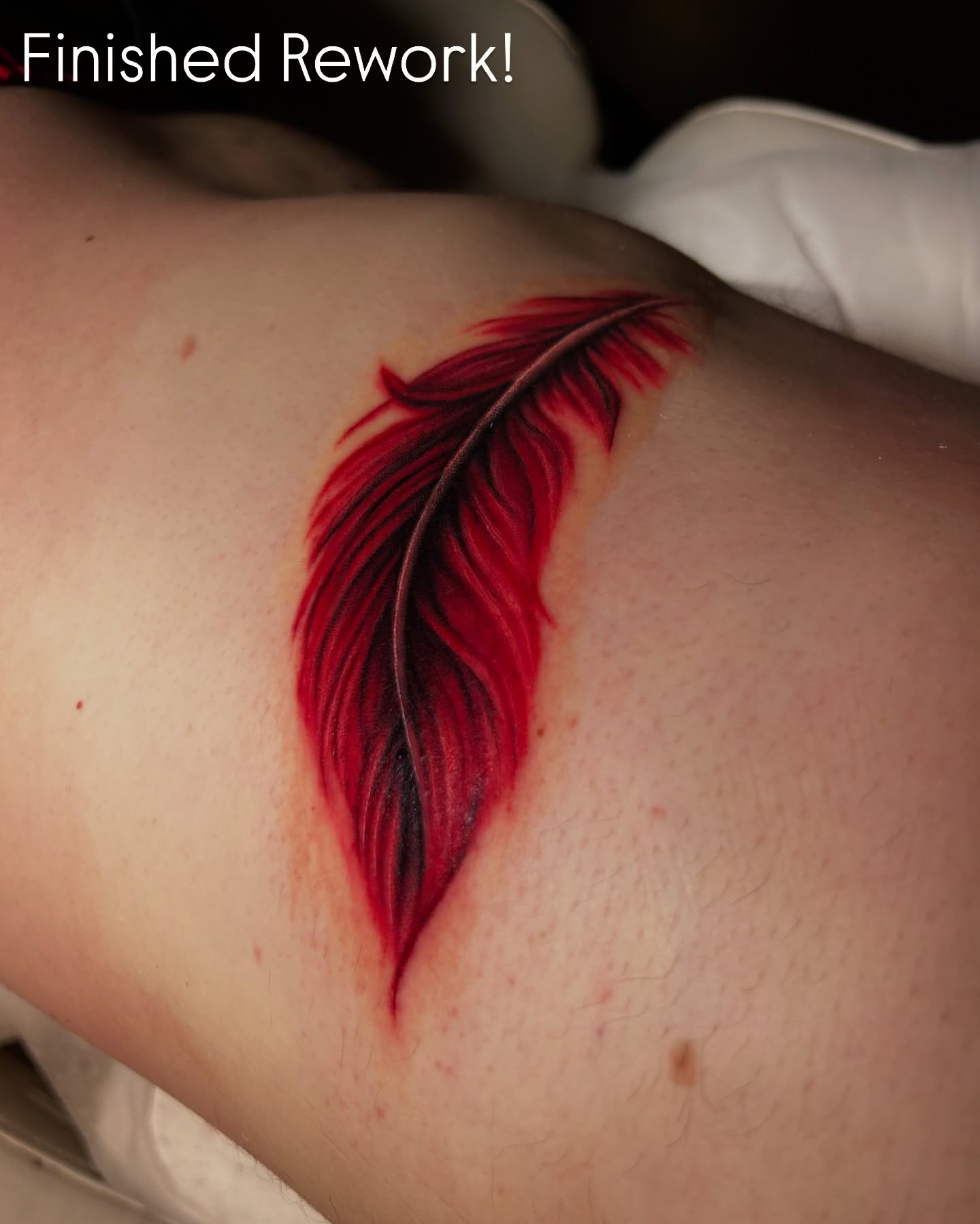 Feather realism tattoo on the upper arm by Tattoos By Lola Cavotta, Willoughby, Ohio