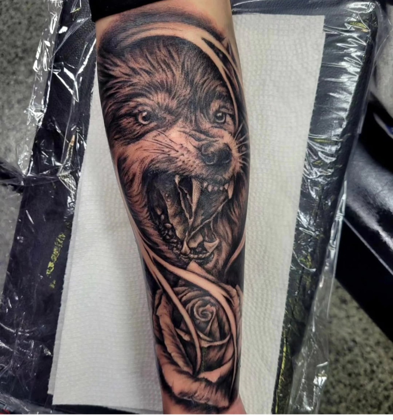 Wolf and rose realism tattoo on the forearm by Drew King