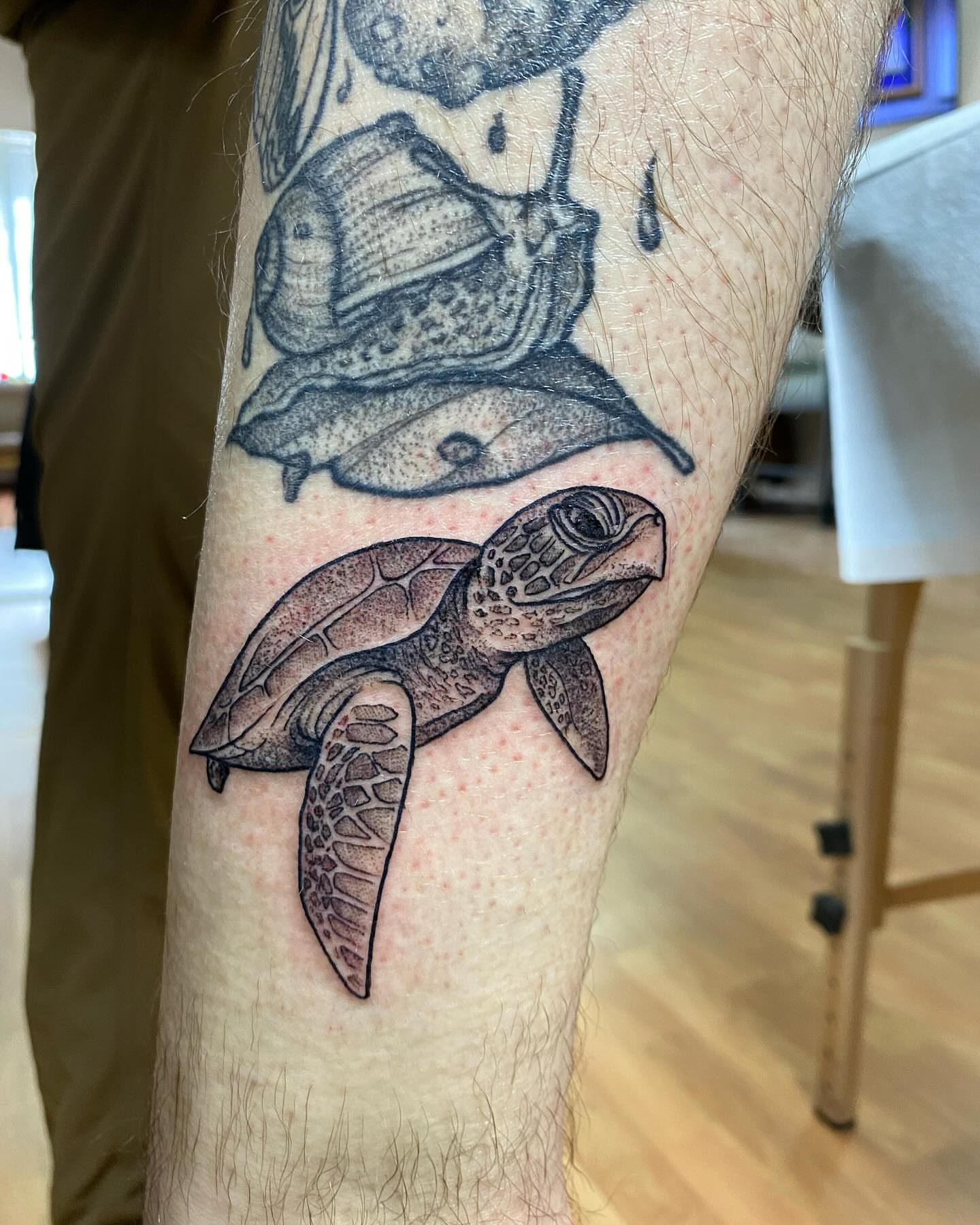 Turtle dotwork tattoo on the forearm by Taya Lynn, Hudson, Wisconsin