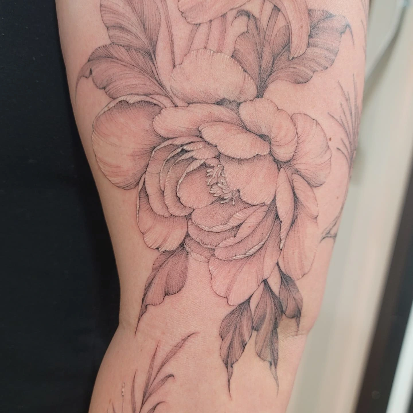 Peony realism tattoo on the forearm by Keith Countryman, Fort Worth, Texas