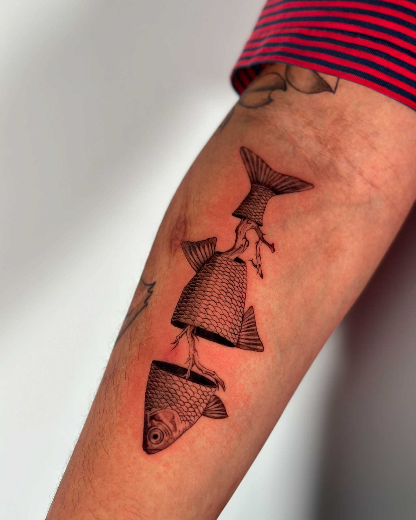 Tattoo by @judetatt — black_and_grey