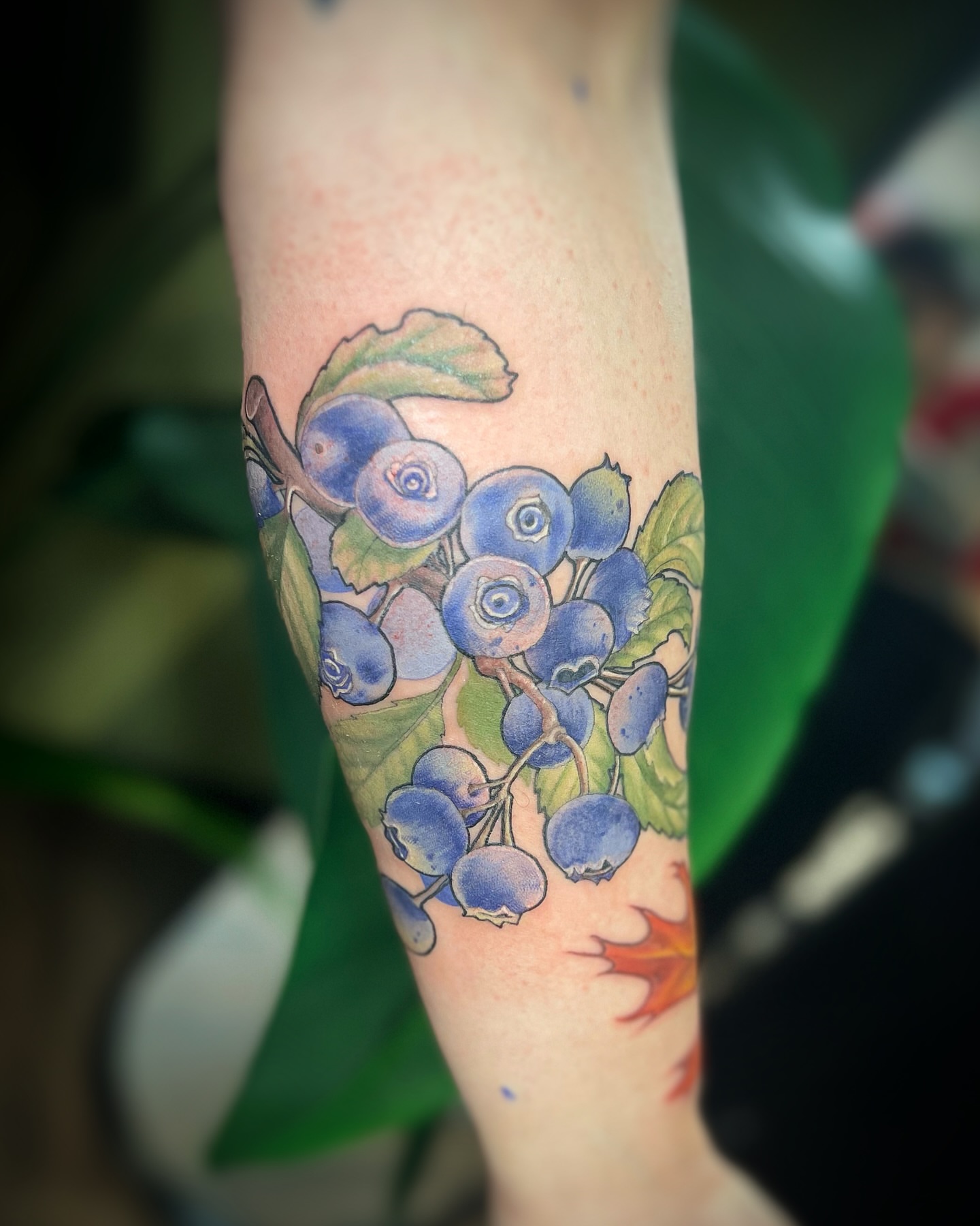 Blueberries realism tattoo on the forearm by sam cedar geller 🐝