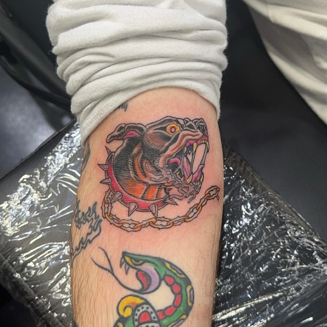 Bird and snake American traditional tattoo on the forearm by Kenzie🖤