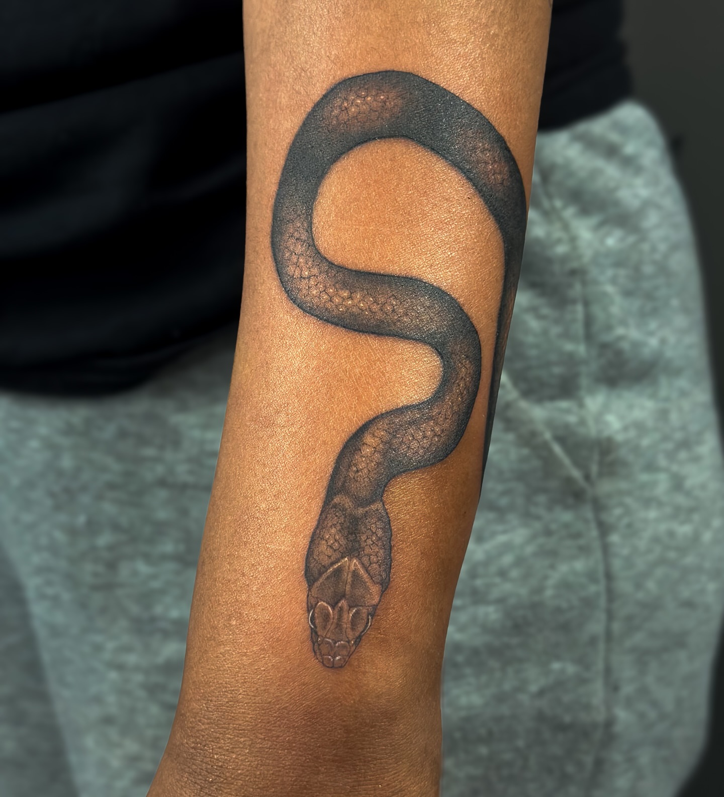 Snake black and grey tattoo on the forearm by Sincere