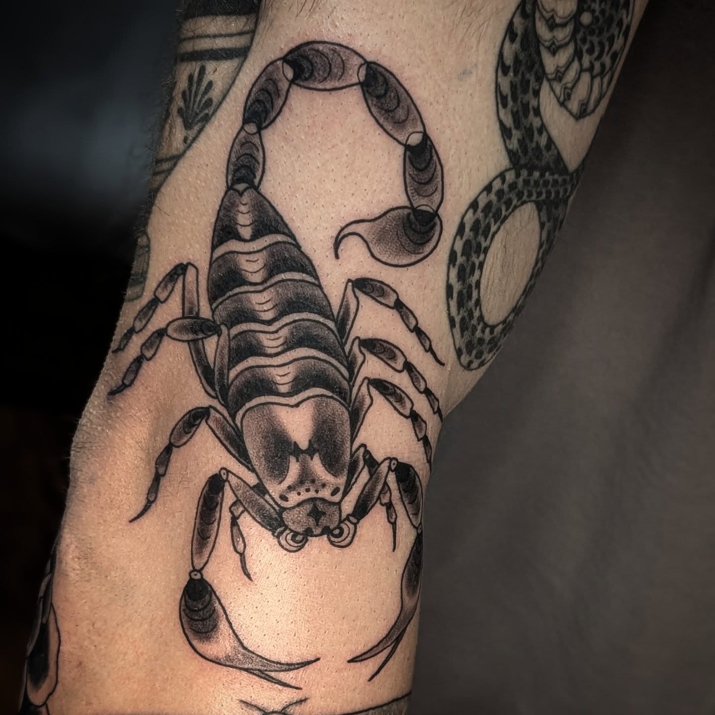 Scorpion dotwork tattoo on the forearm by Eli Studer