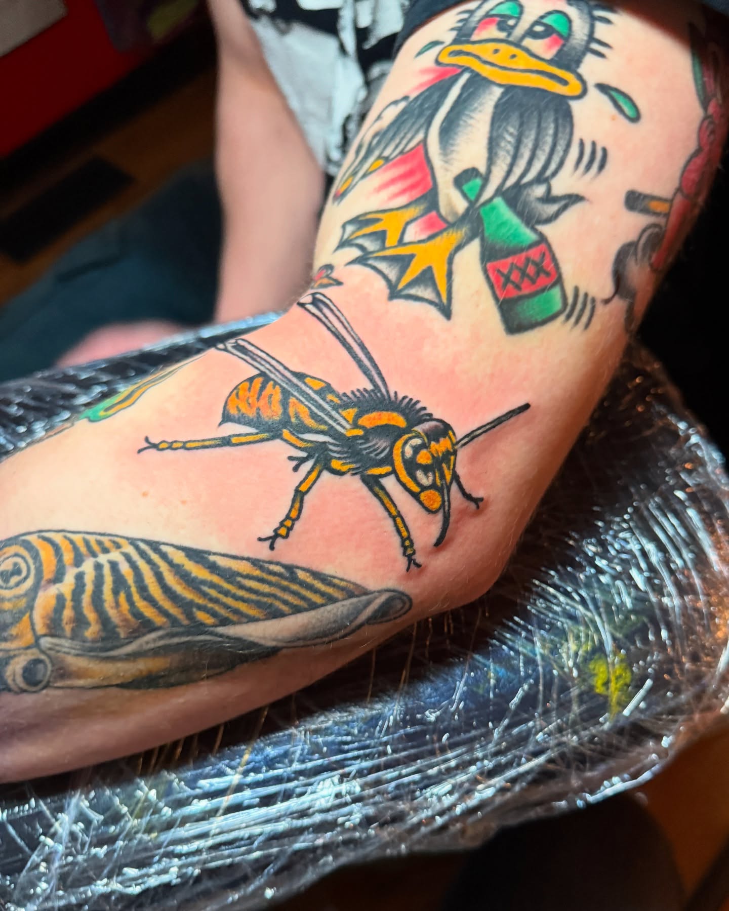 Bee American traditional tattoo on the forearm by Angus Perfect, Philadelphia, Pennsylvania