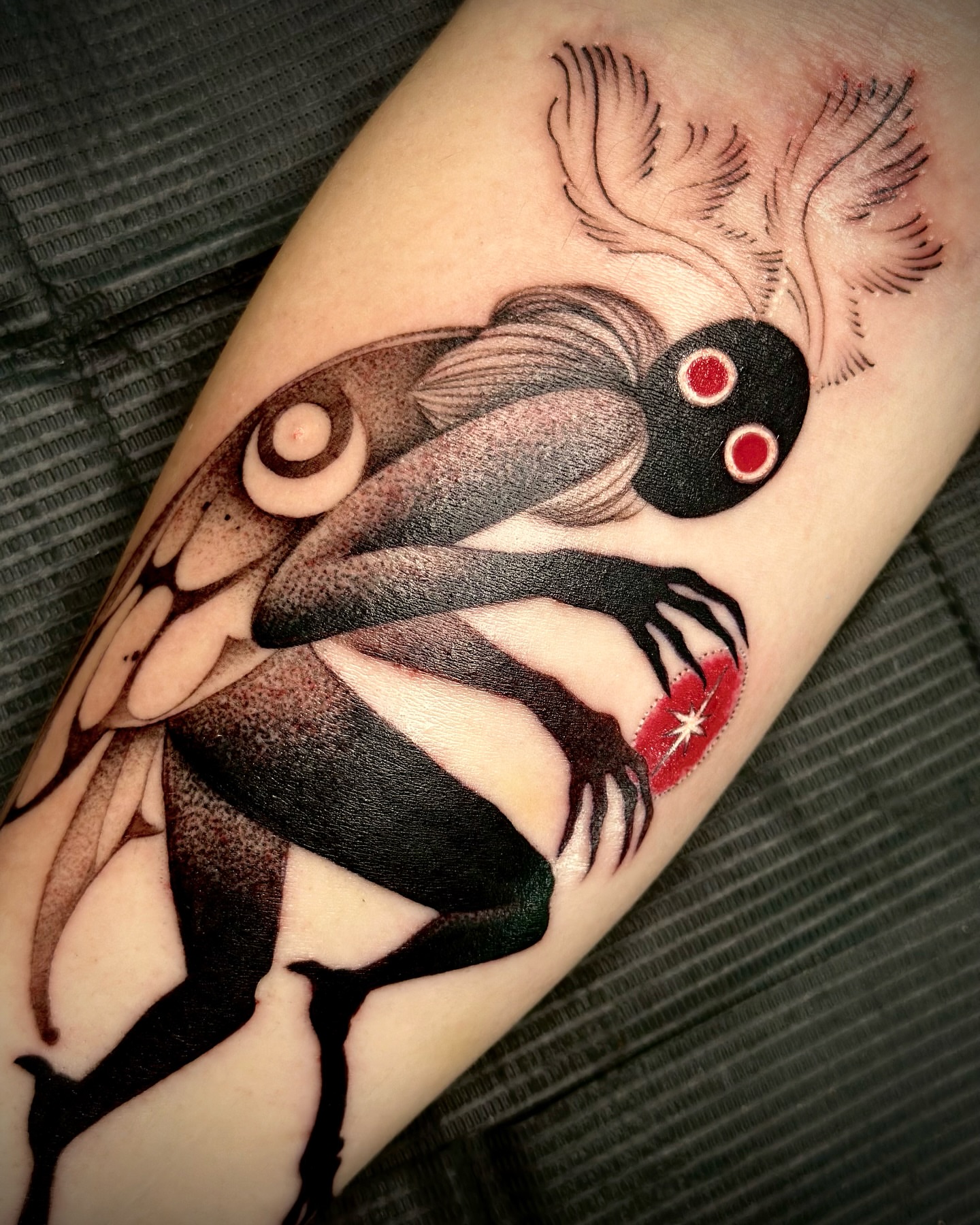 Frog dotwork tattoo on the forearm by Feliz Manzanedo, Prescott, Arizona