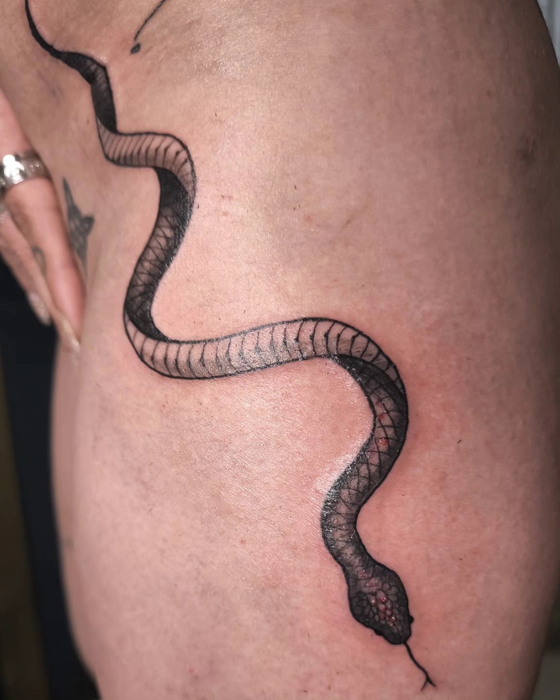 Snake realism tattoo on the thigh by Sonia