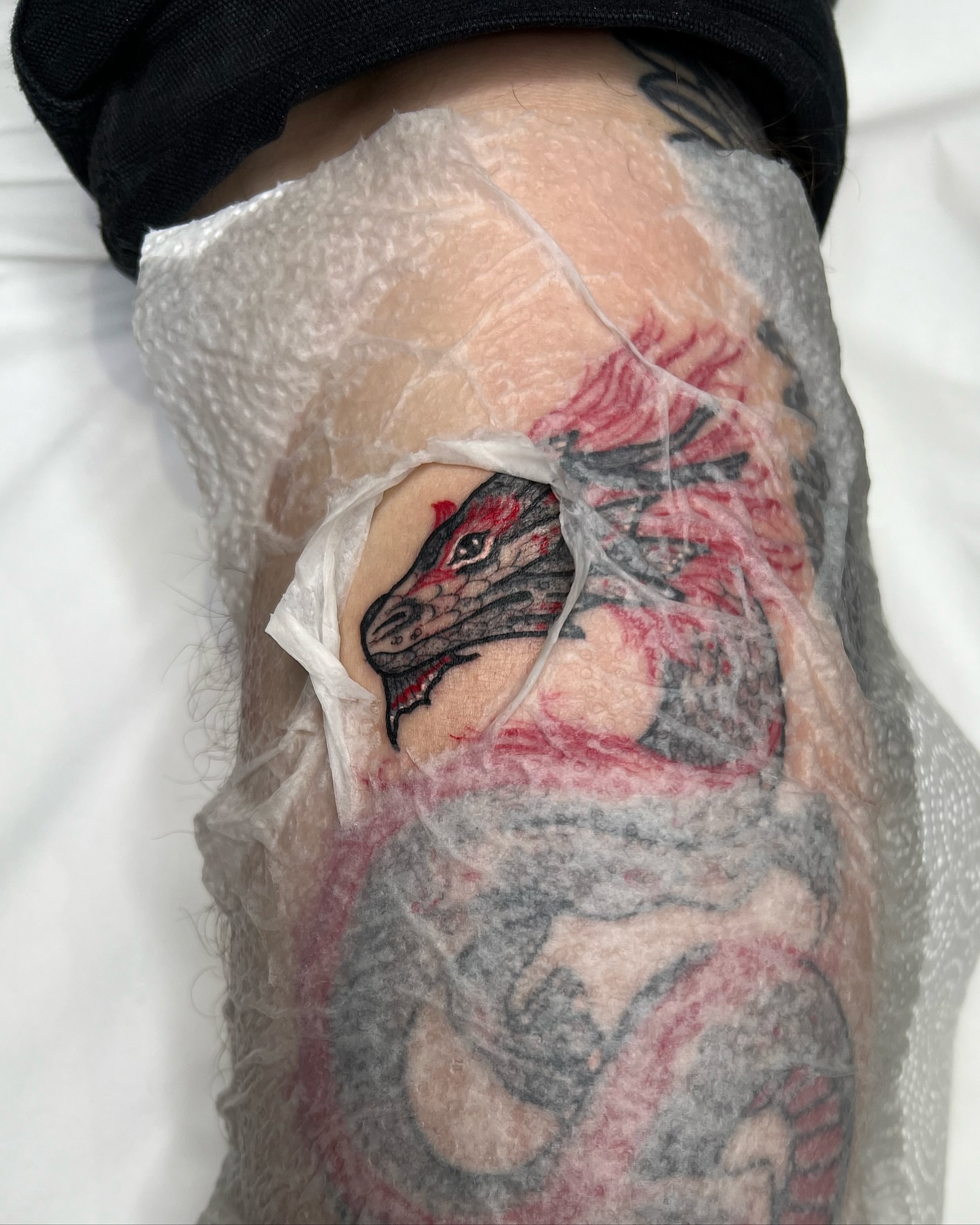 Tattoo by @courtneylloydtattoos — neo_traditional
