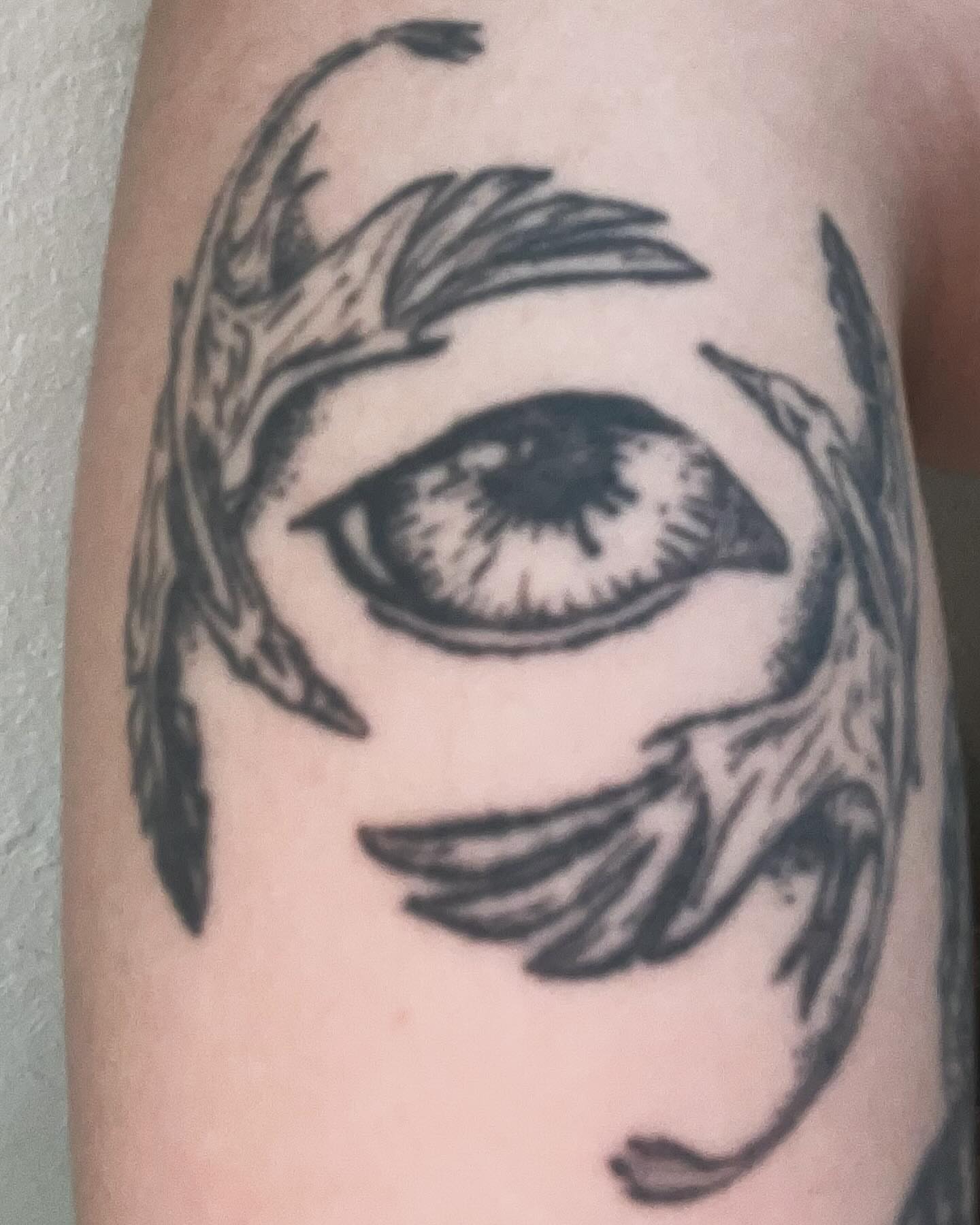 Eye with feathers black and grey tattoo on the forearm by Ink by Hailey π