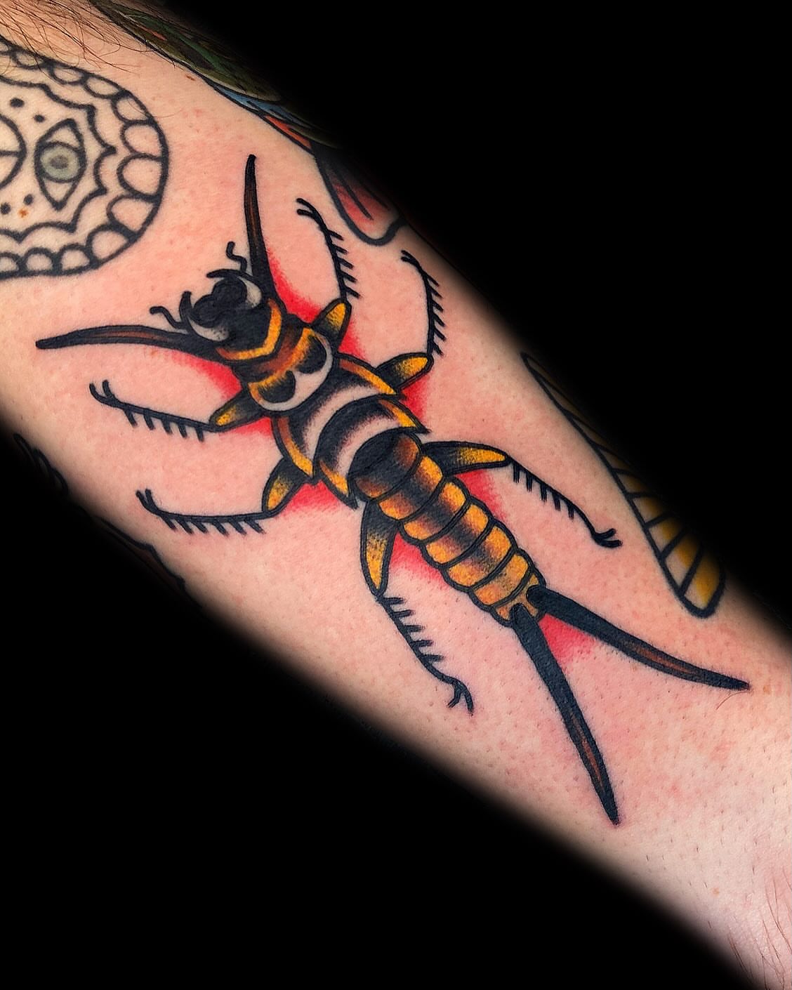 Tattoo by @squid_tattoos — american_traditional