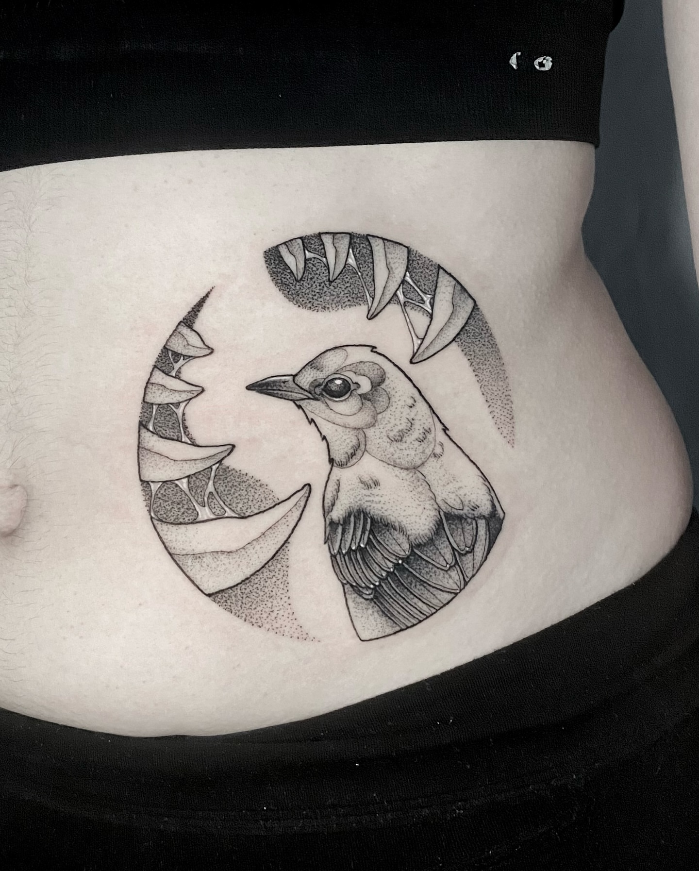 Bird dotwork tattoo on the torso by Rowan Starr