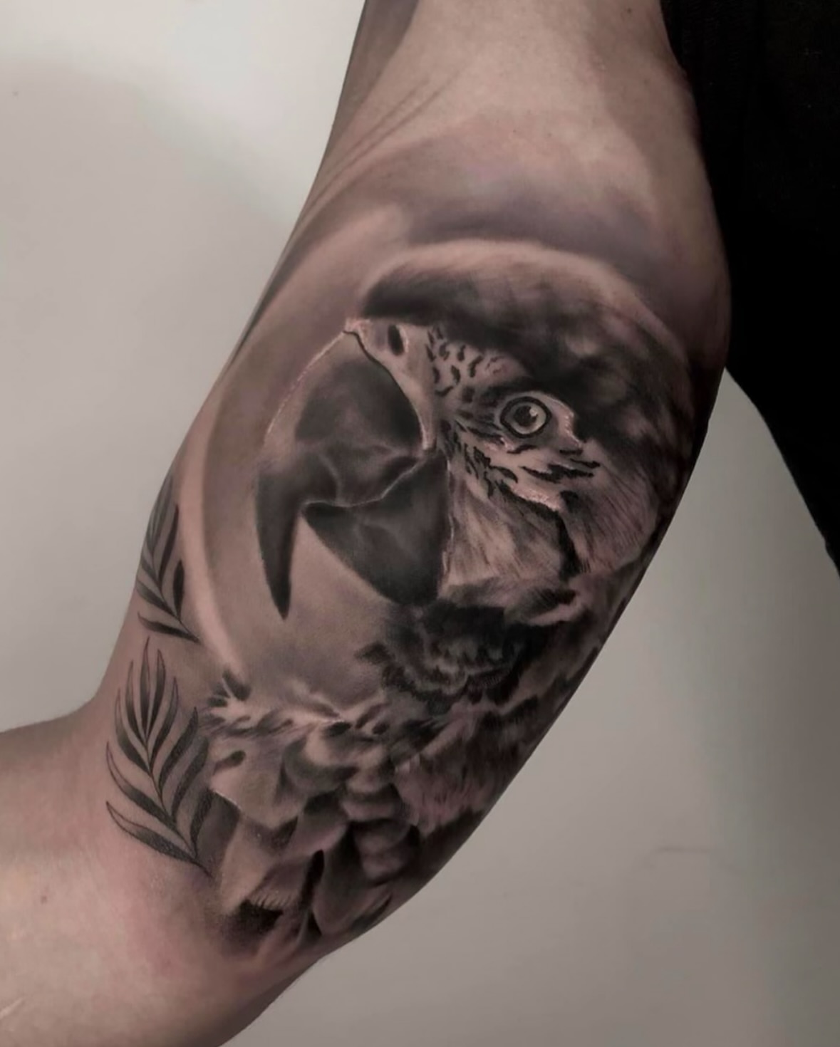 Hawk realism tattoo on the forearm by Diego Andrés Cárdenas