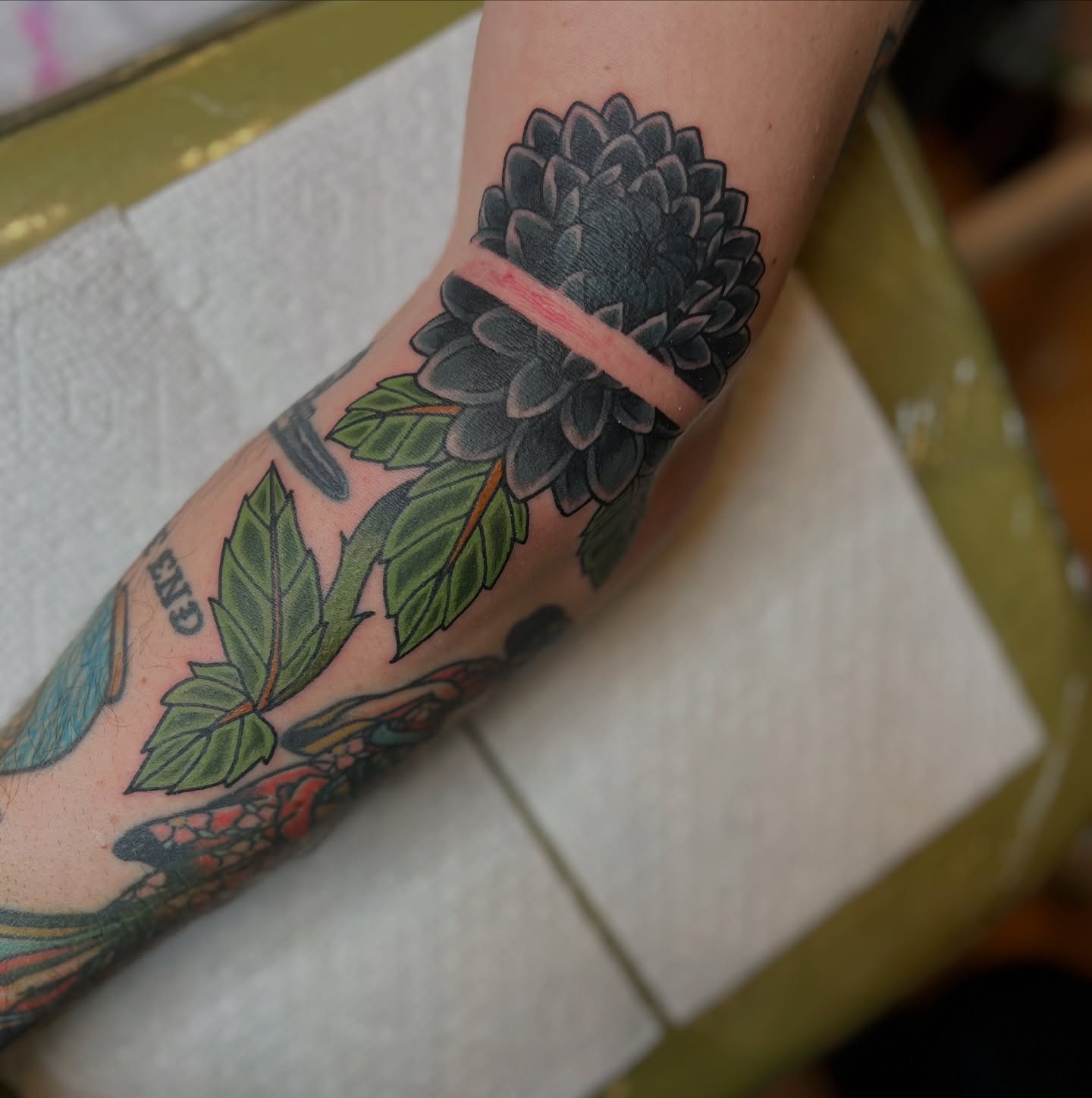 Flower American traditional tattoo on the forearm by Savannah Brayton, Bethlehem, Pennsylvania