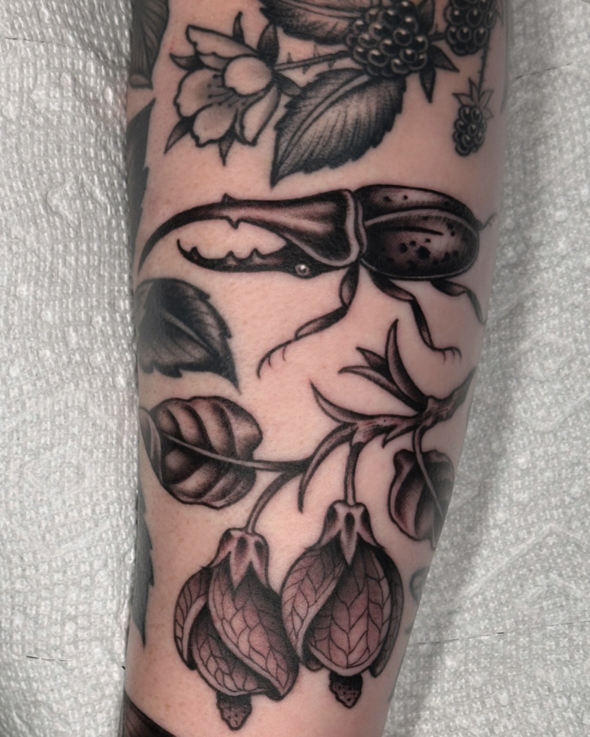 Tattoo by @meira_yael — american_traditional, black_and_grey