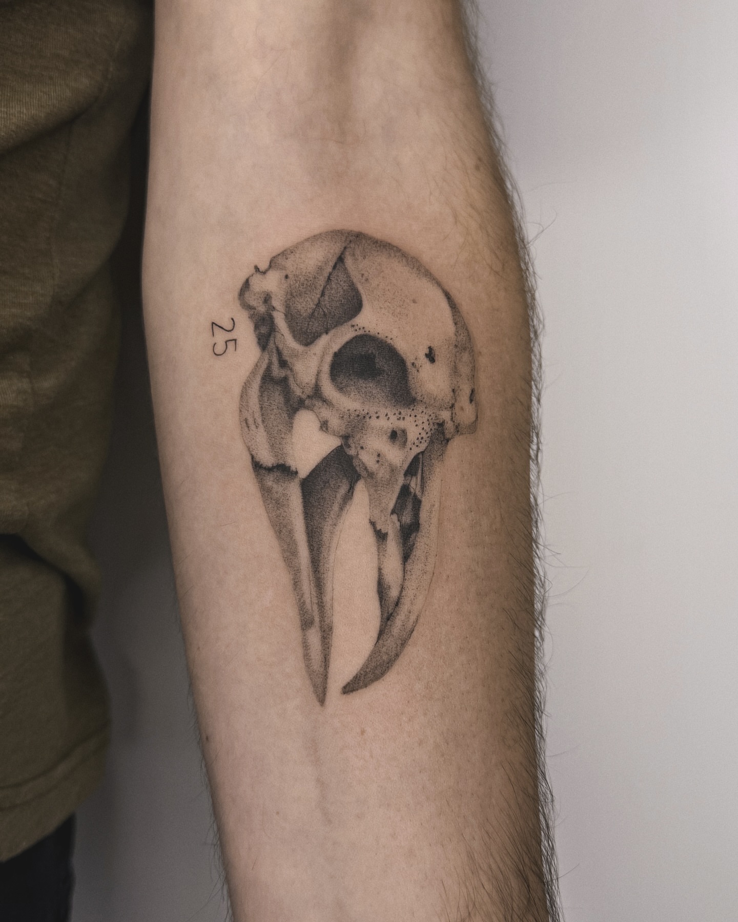 Bird skull dotwork tattoo on the forearm by Blackwork & microrealism tattoos