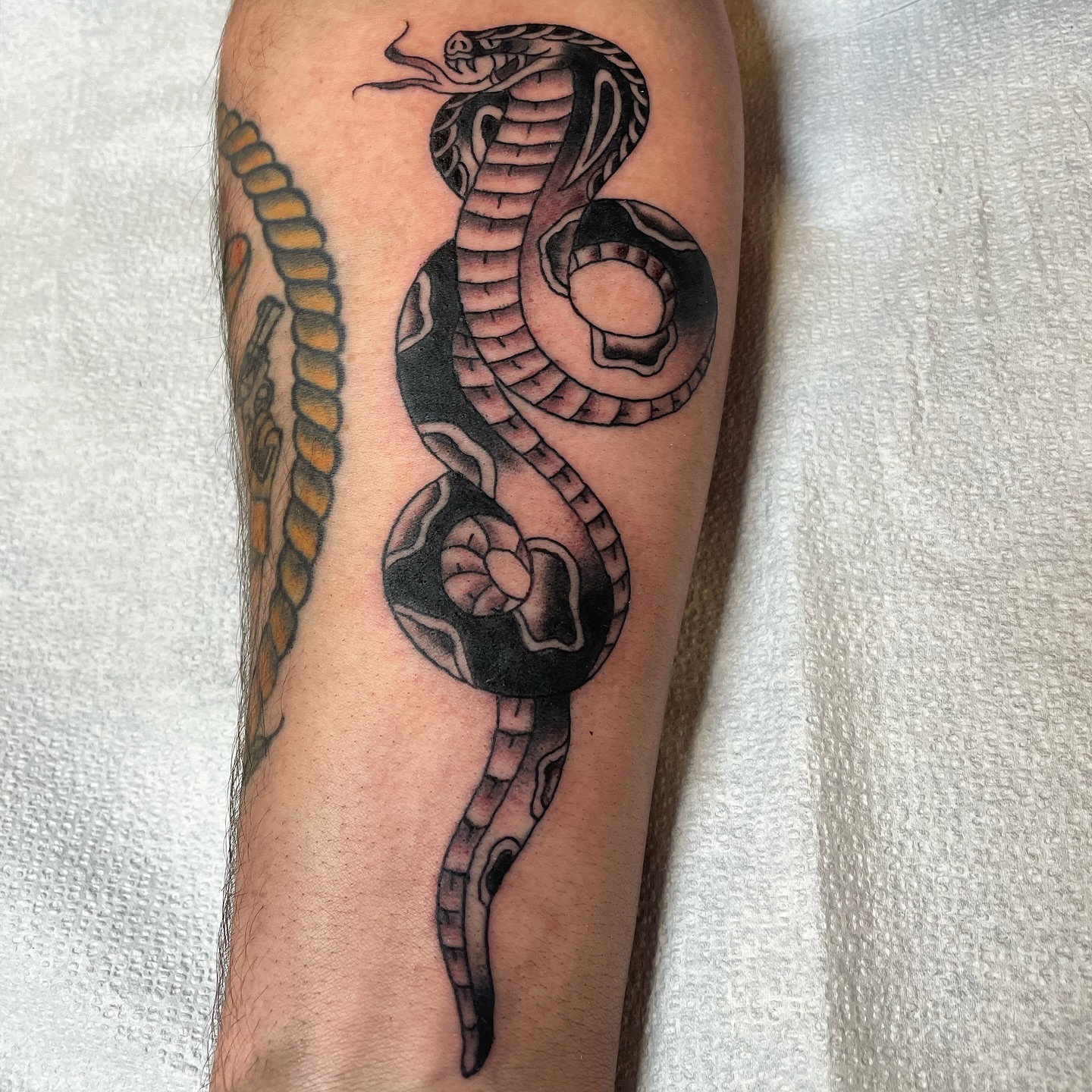 Snake black and grey tattoo on the forearm by Cam TallBoy SLC Tattoo Artist, Salt Lake City, Utah
