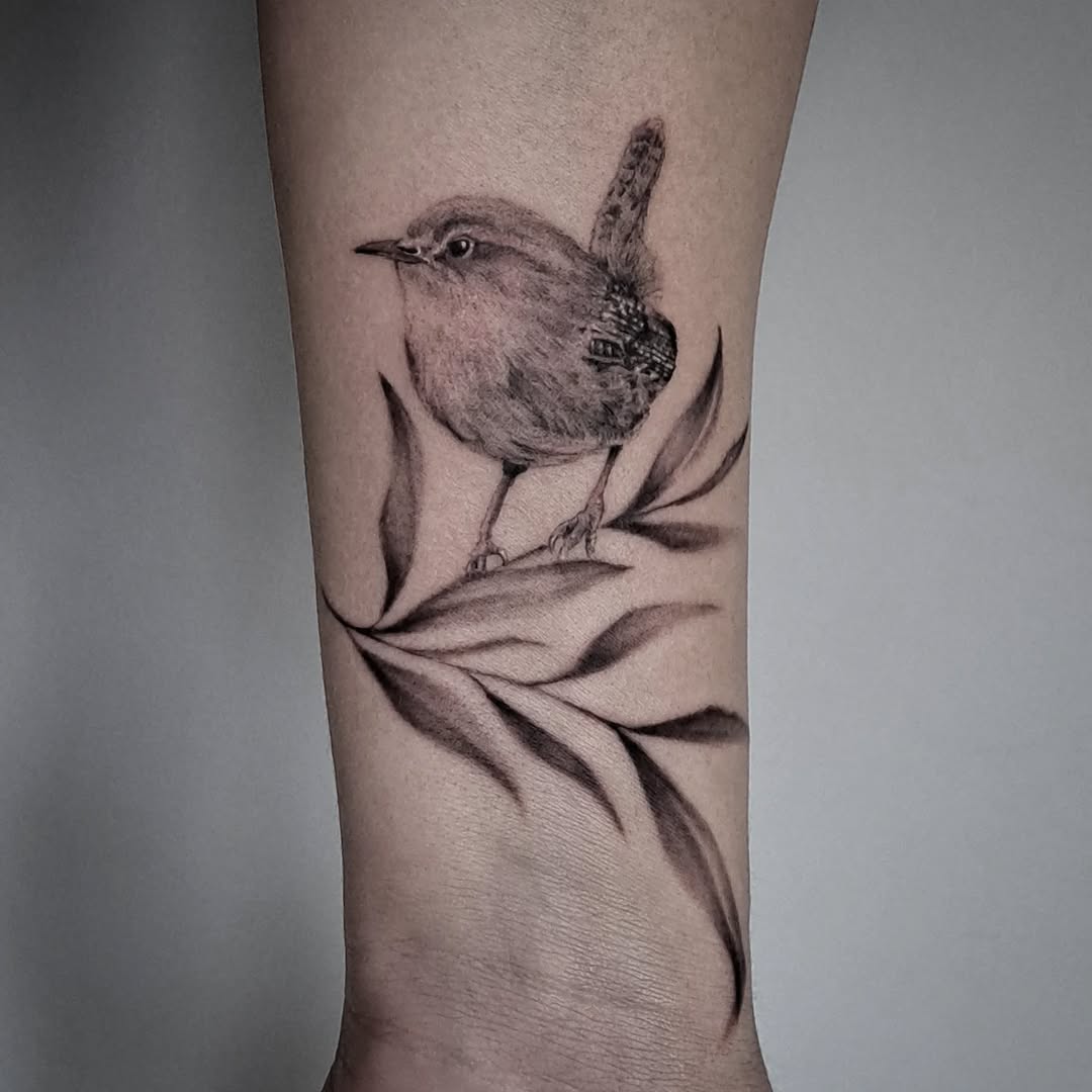 Wren on a branch fine line tattoo on the forearm by Lindsay
