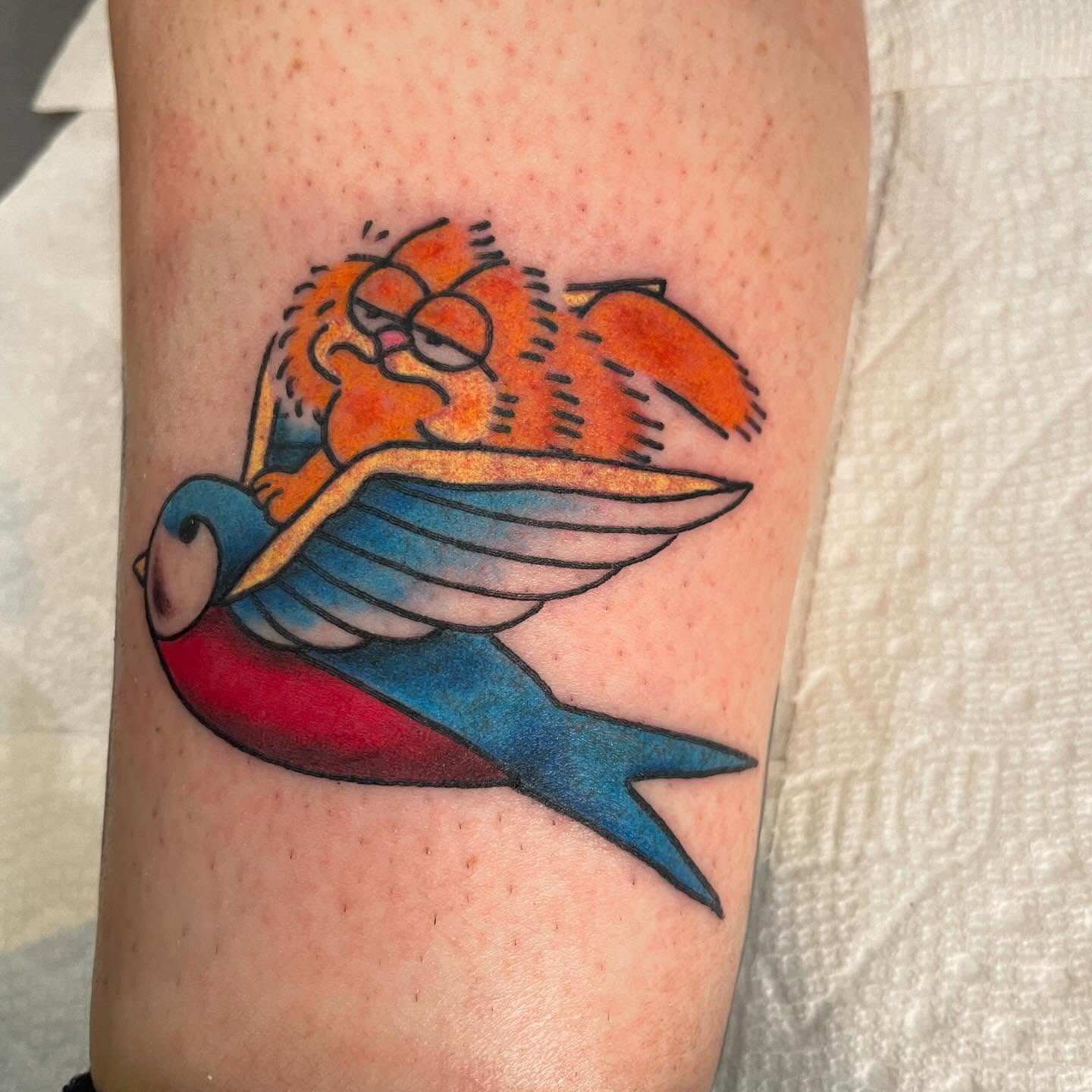 Bird and cat American traditional tattoo on the forearm by Chrissy Ungrew Tattoos, Covington, Kentucky