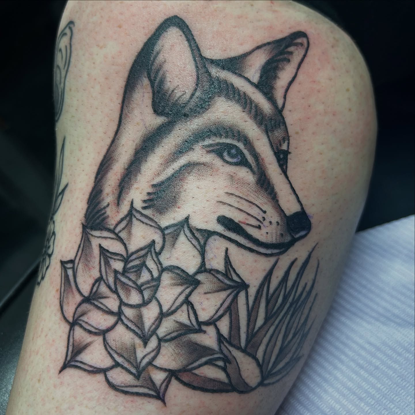 Fox and succulents realism tattoo on the thigh by Lauren Caldwell 🔮🌙