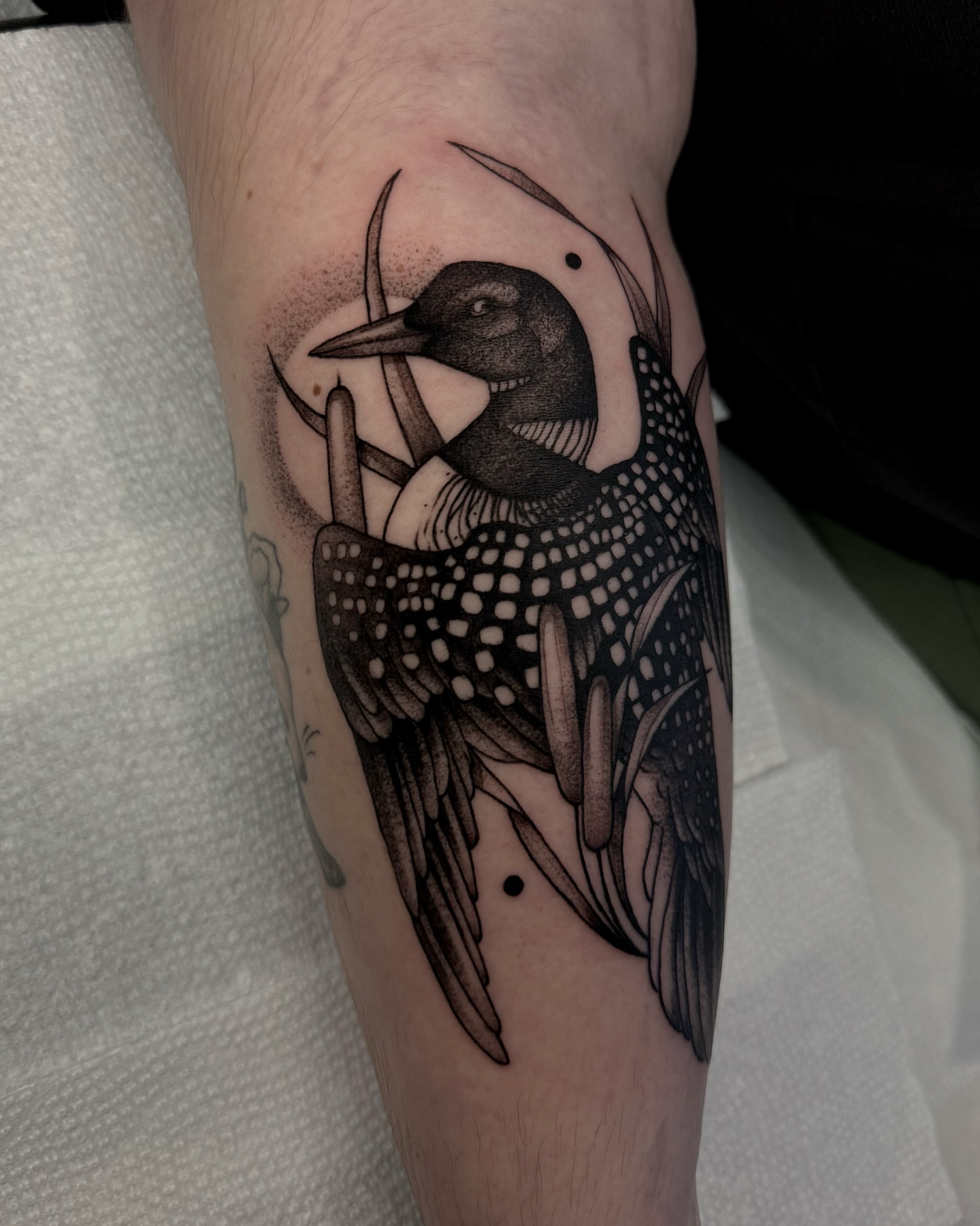 Loon dotwork tattoo on the forearm by Lauren Peltz