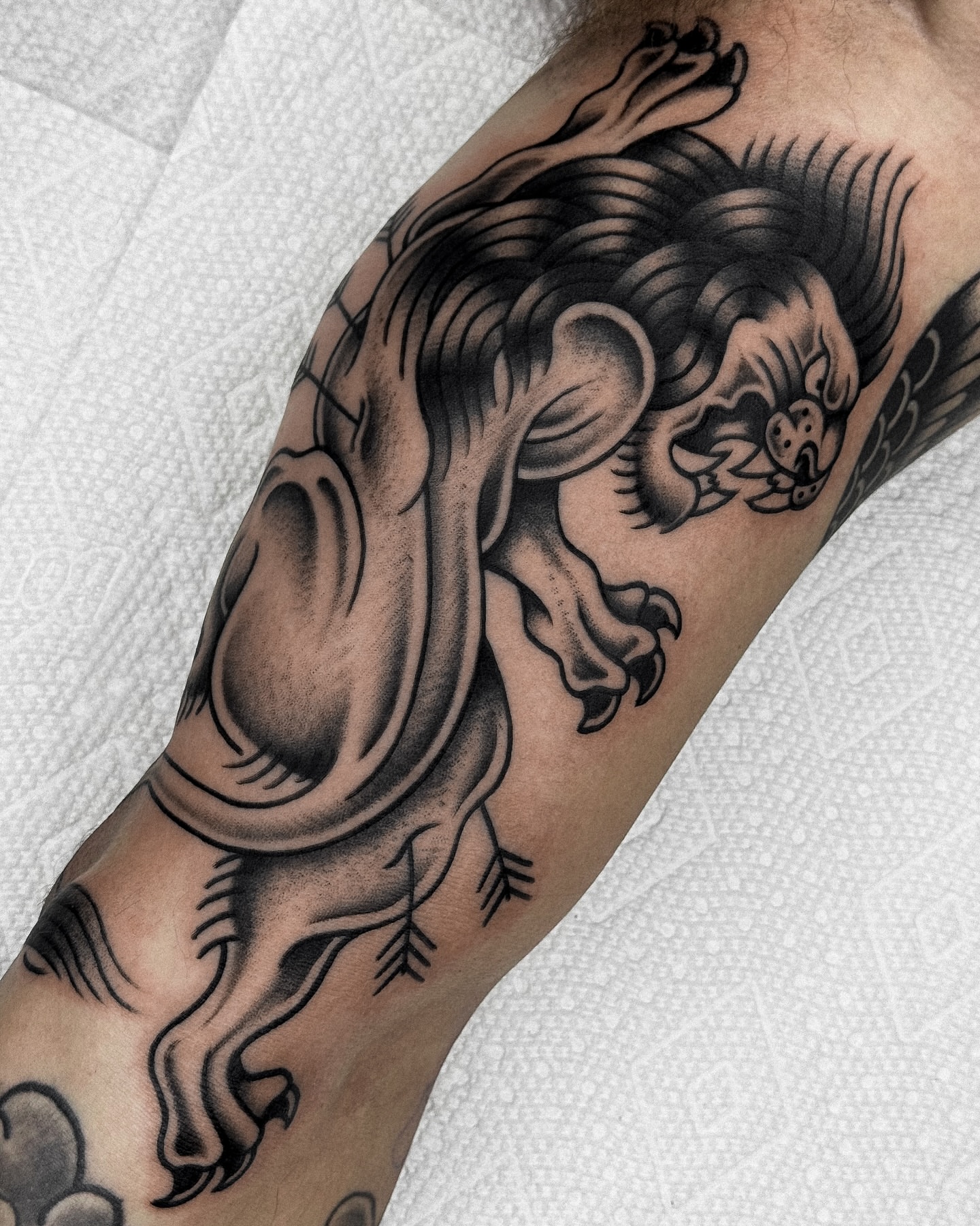 Lion black and grey tattoo on the forearm by Samuel Dickey