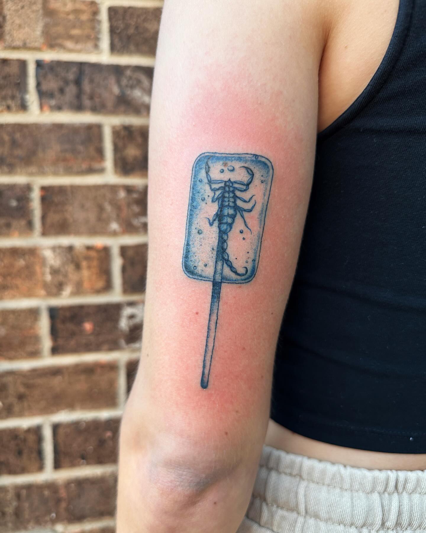 Tattoo by @smoothloom_tattoos โ dotwork