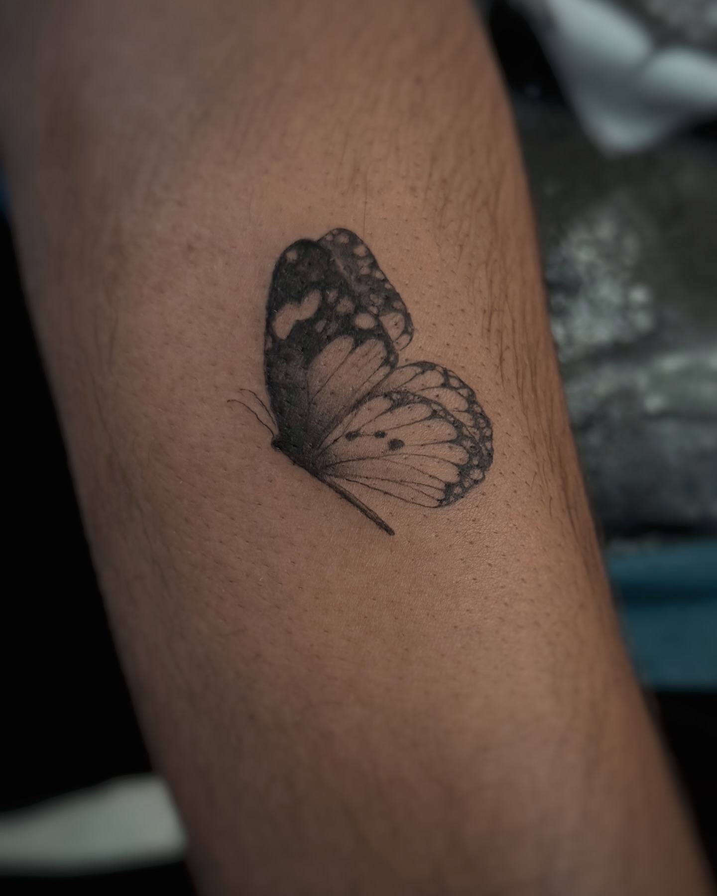 Butterfly black and grey tattoo on the forearm by Lily K.