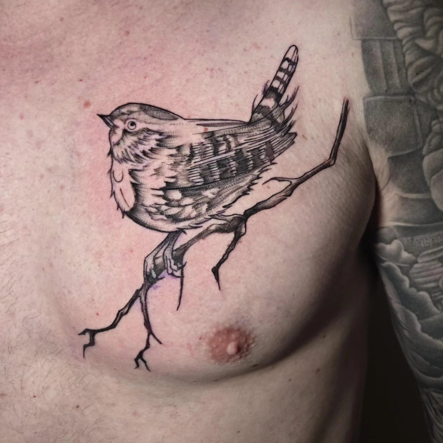 Tattoo by @242_ink — black_and_grey