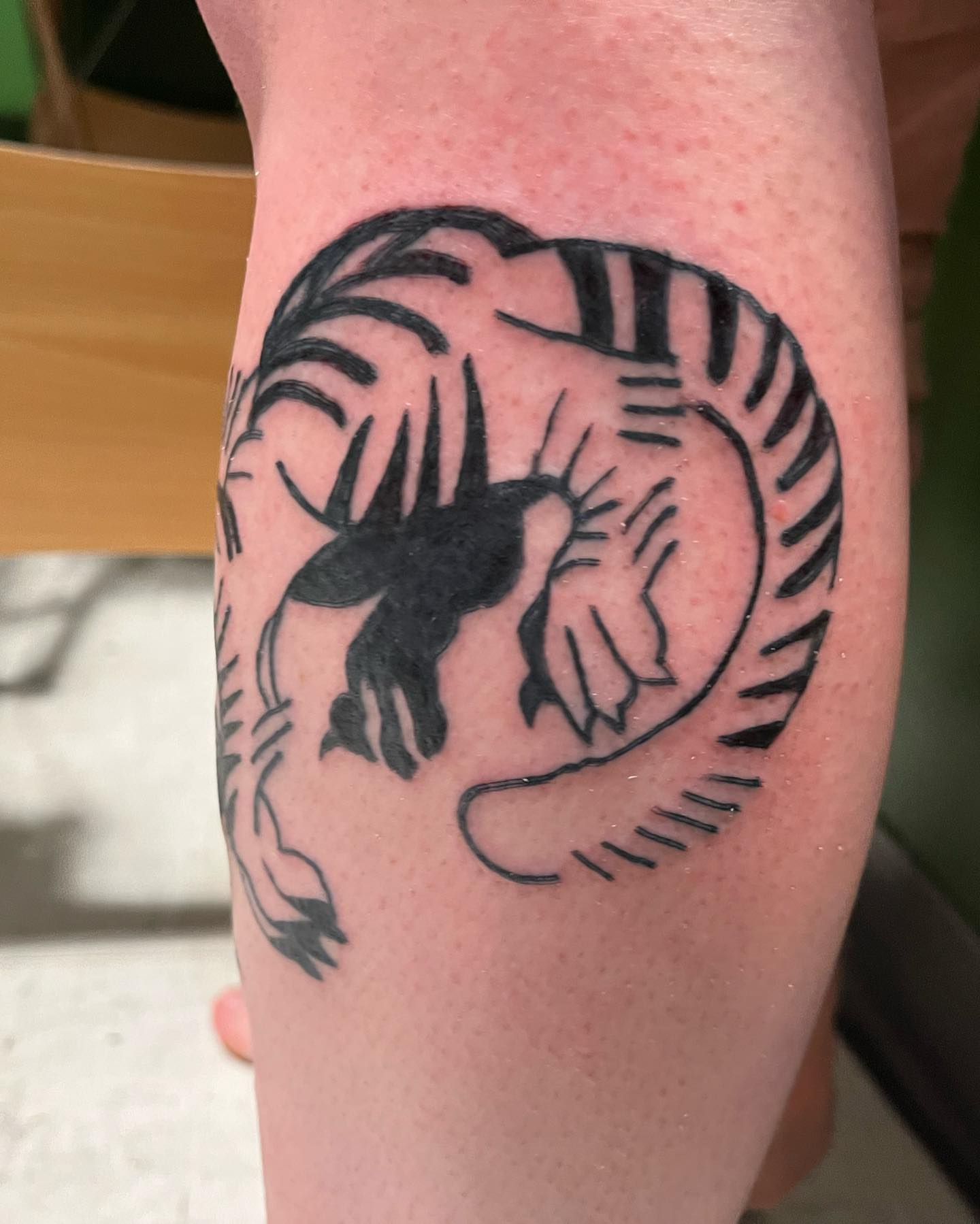 Tattoo by @birdfingers — black_and_grey