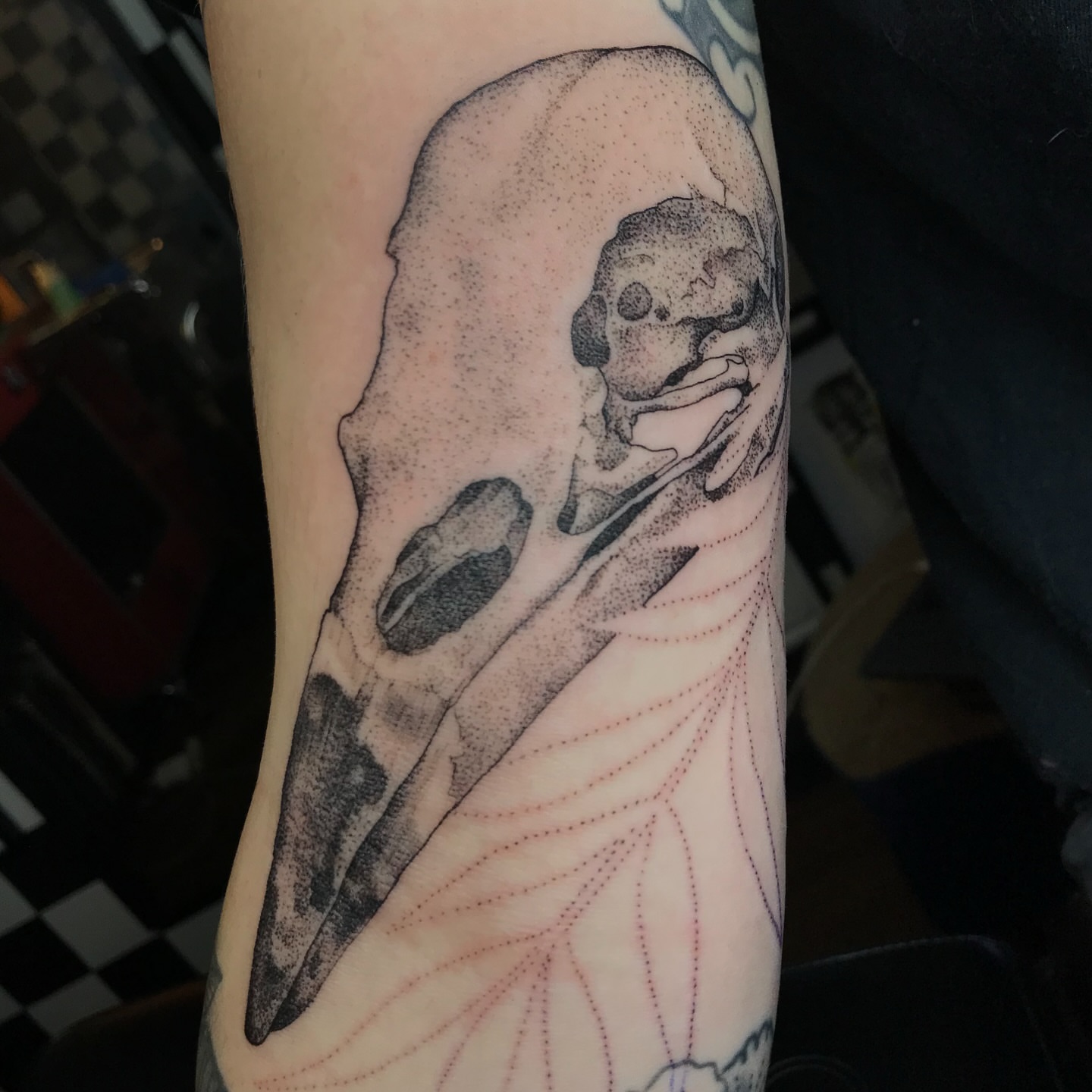 Bird skull dotwork tattoo on the forearm by Bombay Pain Co.