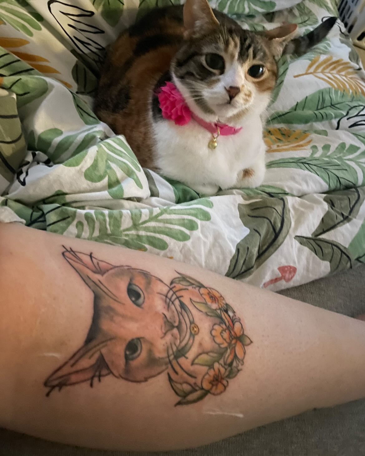 Cat with floral crown realism tattoo on the forearm by π»πΈπ½π½, Ypsilanti, Michigan