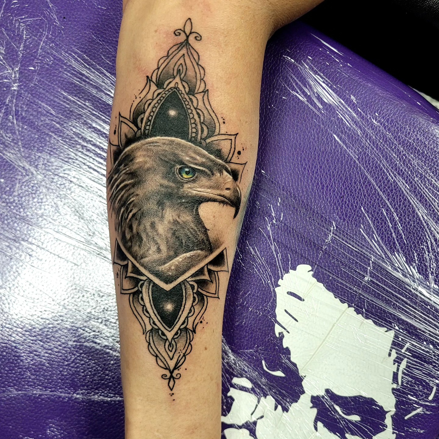 Eagle head realism tattoo on the forearm by Jentrey McCausland