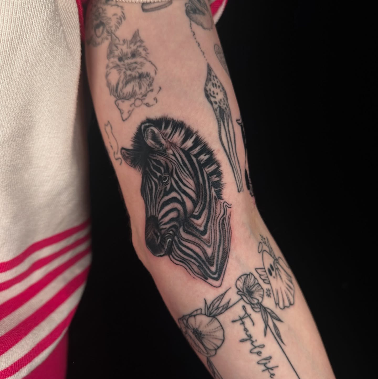 Zebra realism tattoo on the forearm by alex h🪴 neotrad