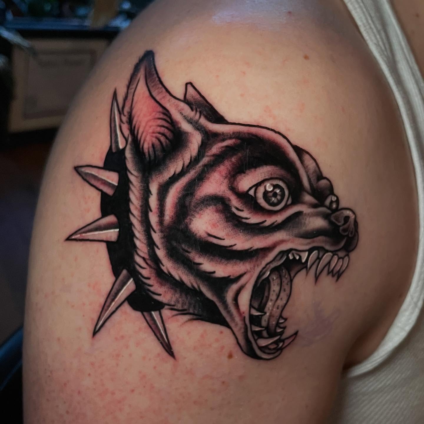 Pig head American traditional tattoo on the shoulder by Madison ‘Maddog’ Stewart