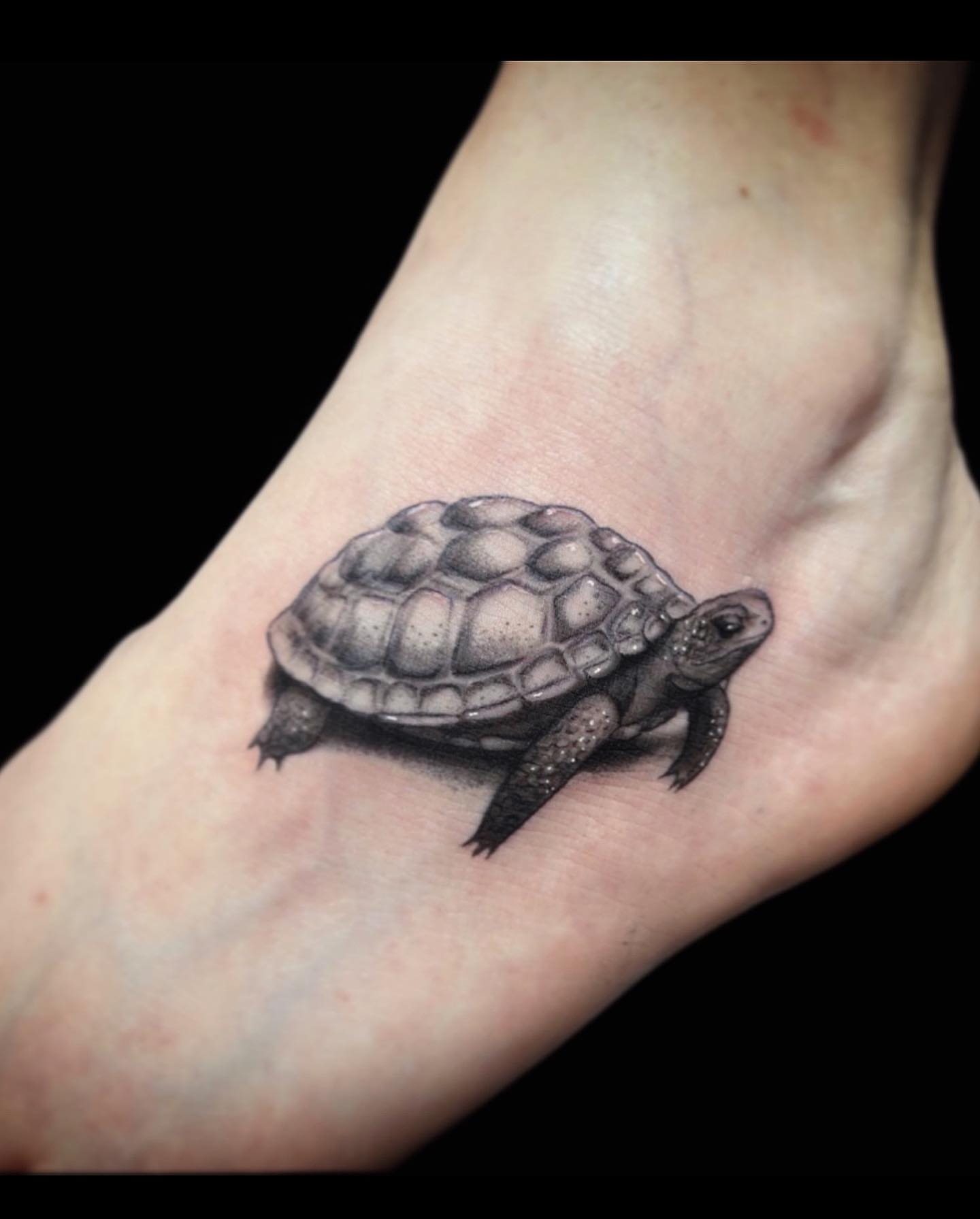 Turtle realism tattoo on the foot by โงโ โฑ โพ ๐ณ๐๐๐๐๐ โฆ โฑ โโง