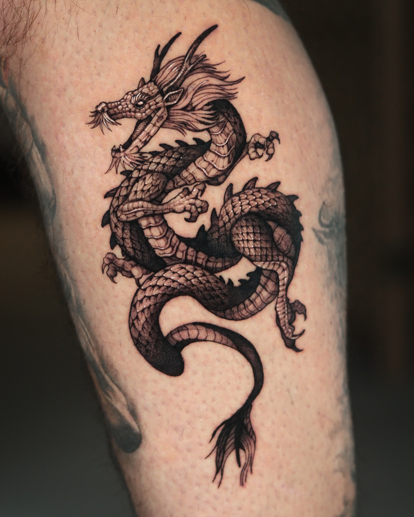 Dragon black and grey tattoo on the forearm by Blackwork A P S O