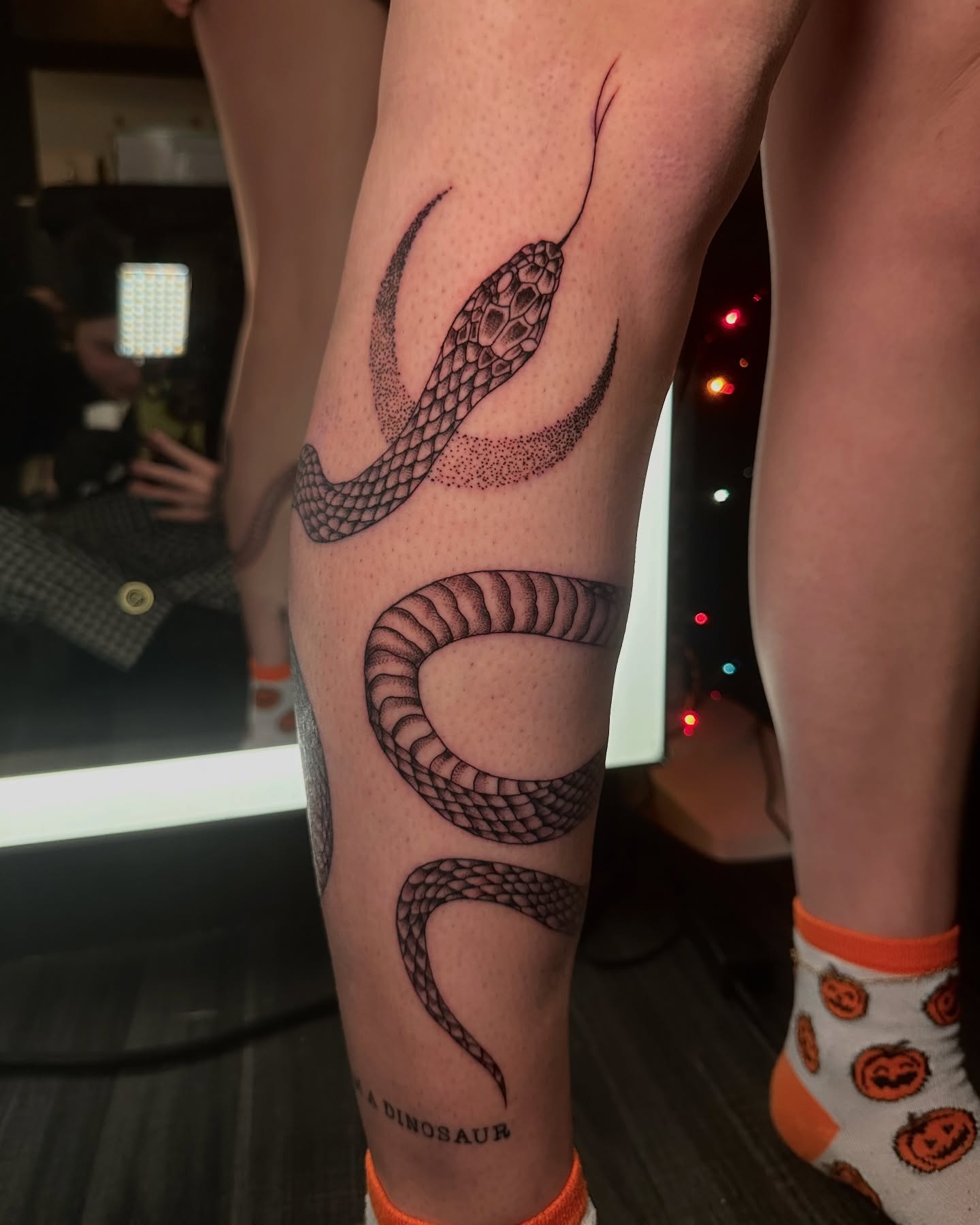 Snake dotwork tattoo on the forearm by Abby ✣ fineline and blackwork ✣