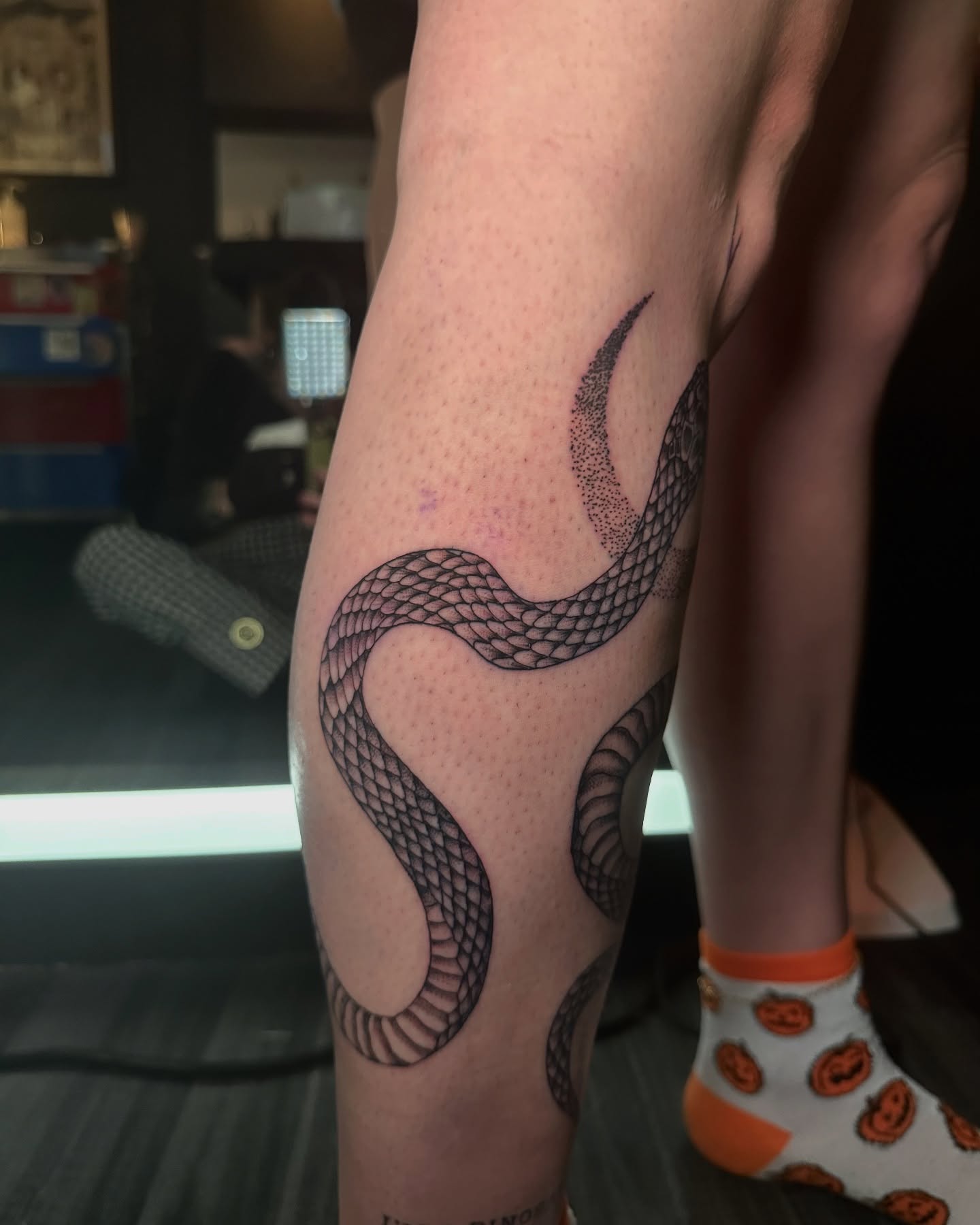Snake dotwork tattoo on the forearm by Abby ✣ fineline and blackwork ✣