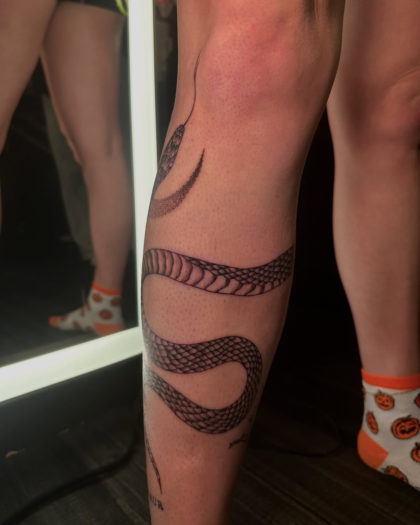 Snake black and grey tattoo on the forearm by Abby ✣ fineline and blackwork ✣