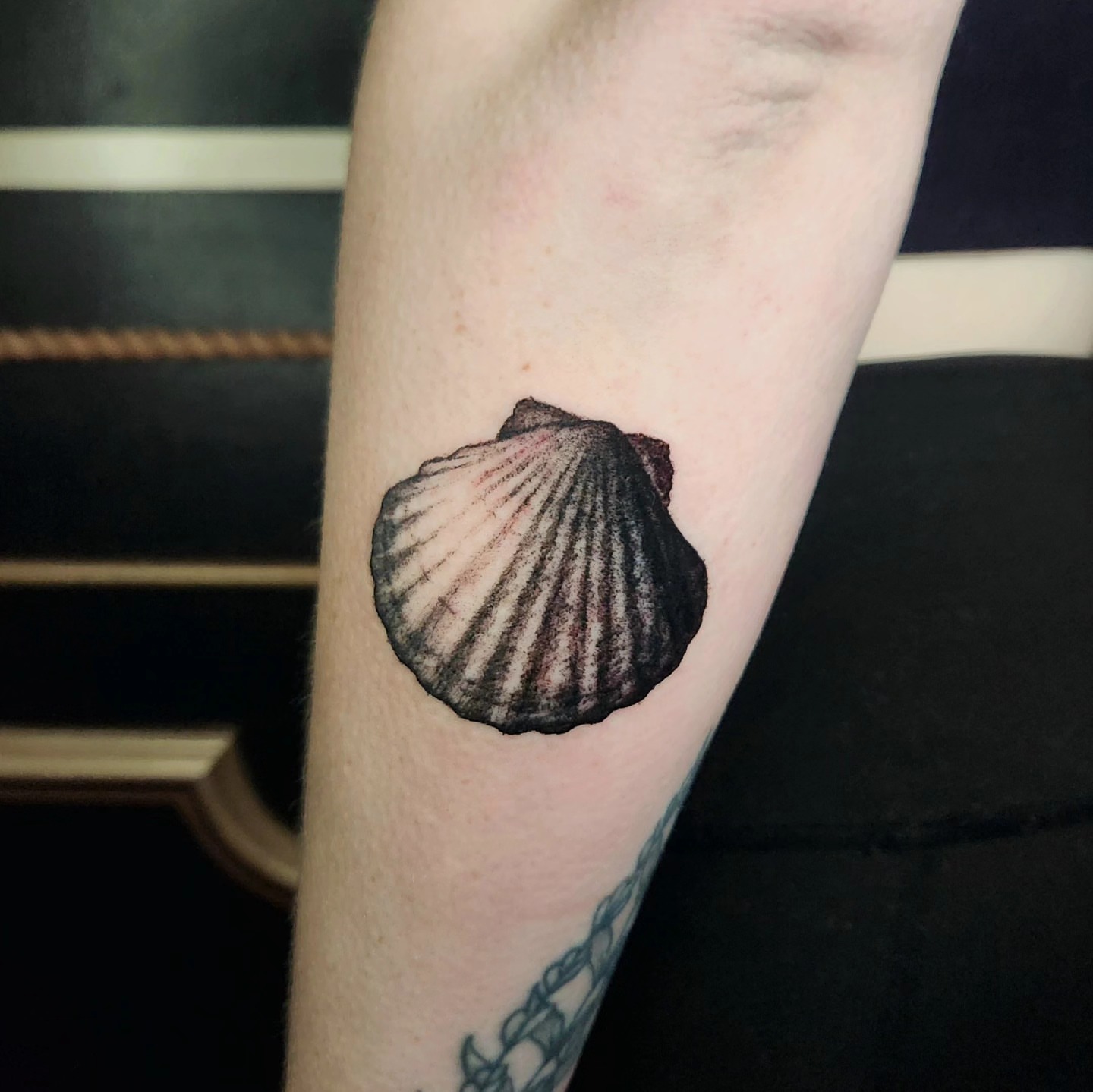 Shell realism tattoo on the forearm by Perry