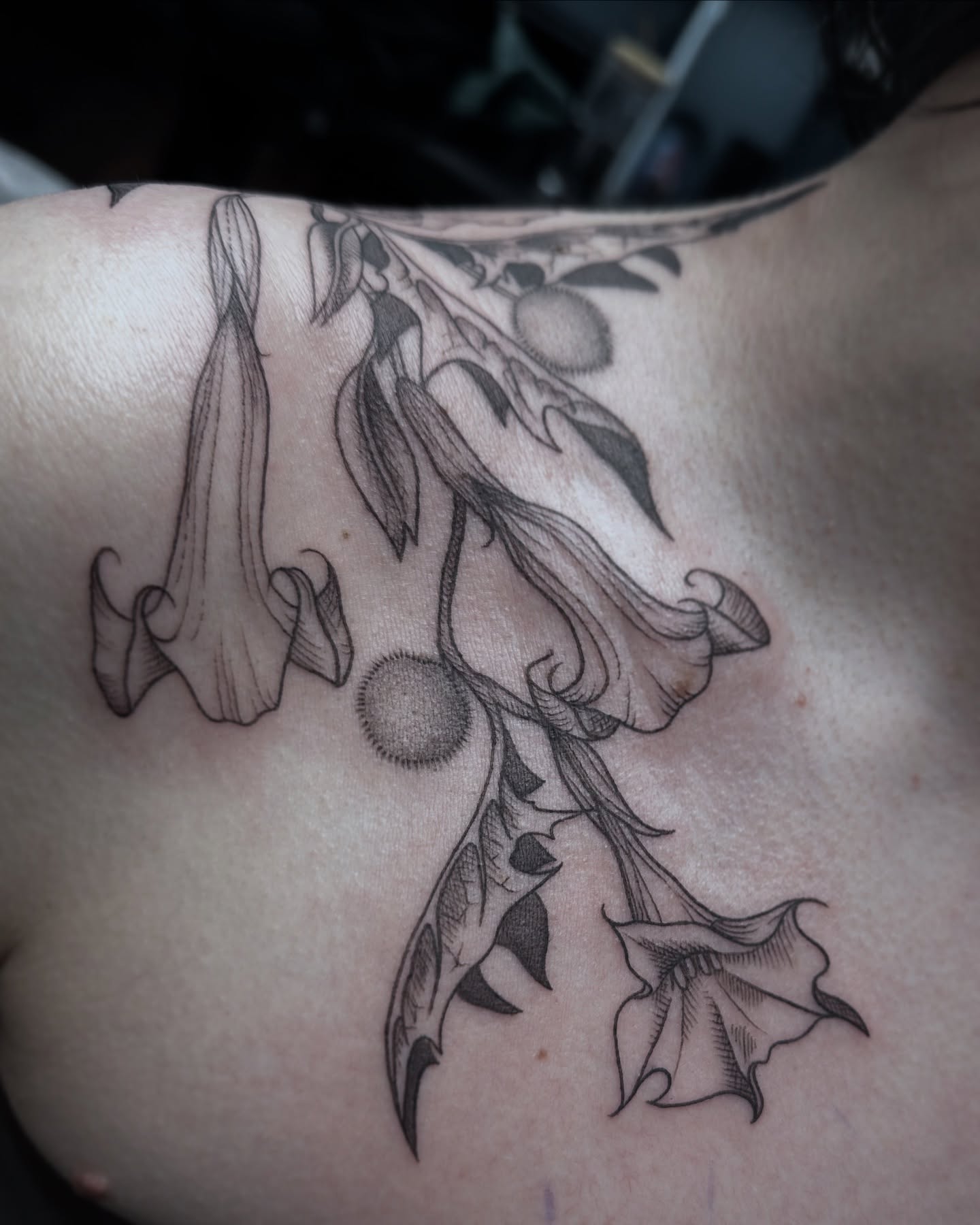 Bell-shaped flowers black and grey tattoo on the chest by Rachel Martinez